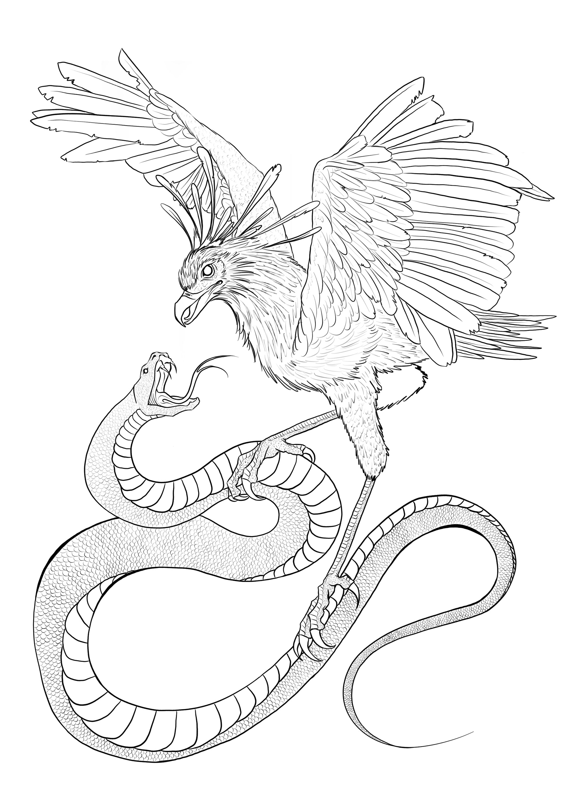 Secretary Bird v.s. Snake Coloring Page