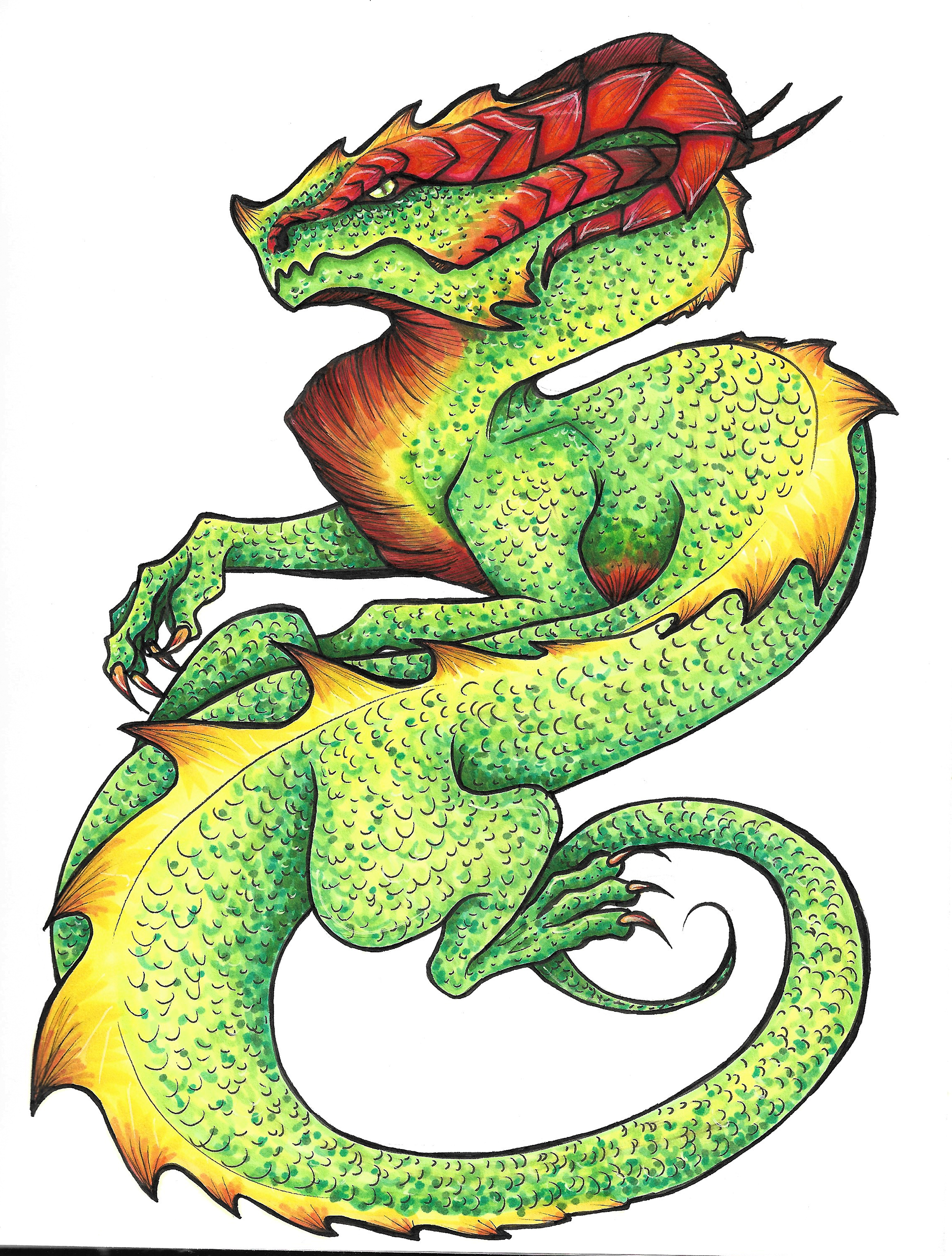 Dragon 1