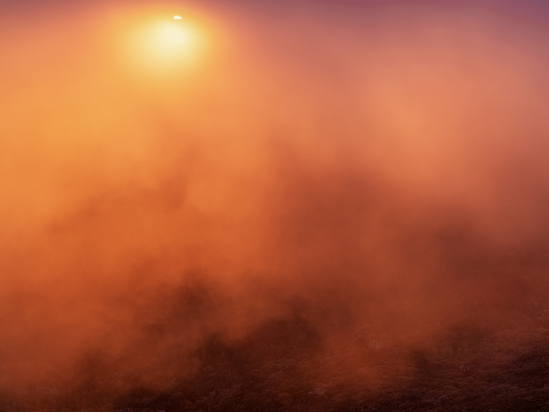 Misty sunrise from the eastern wall of Ikara- Wilpena Pound