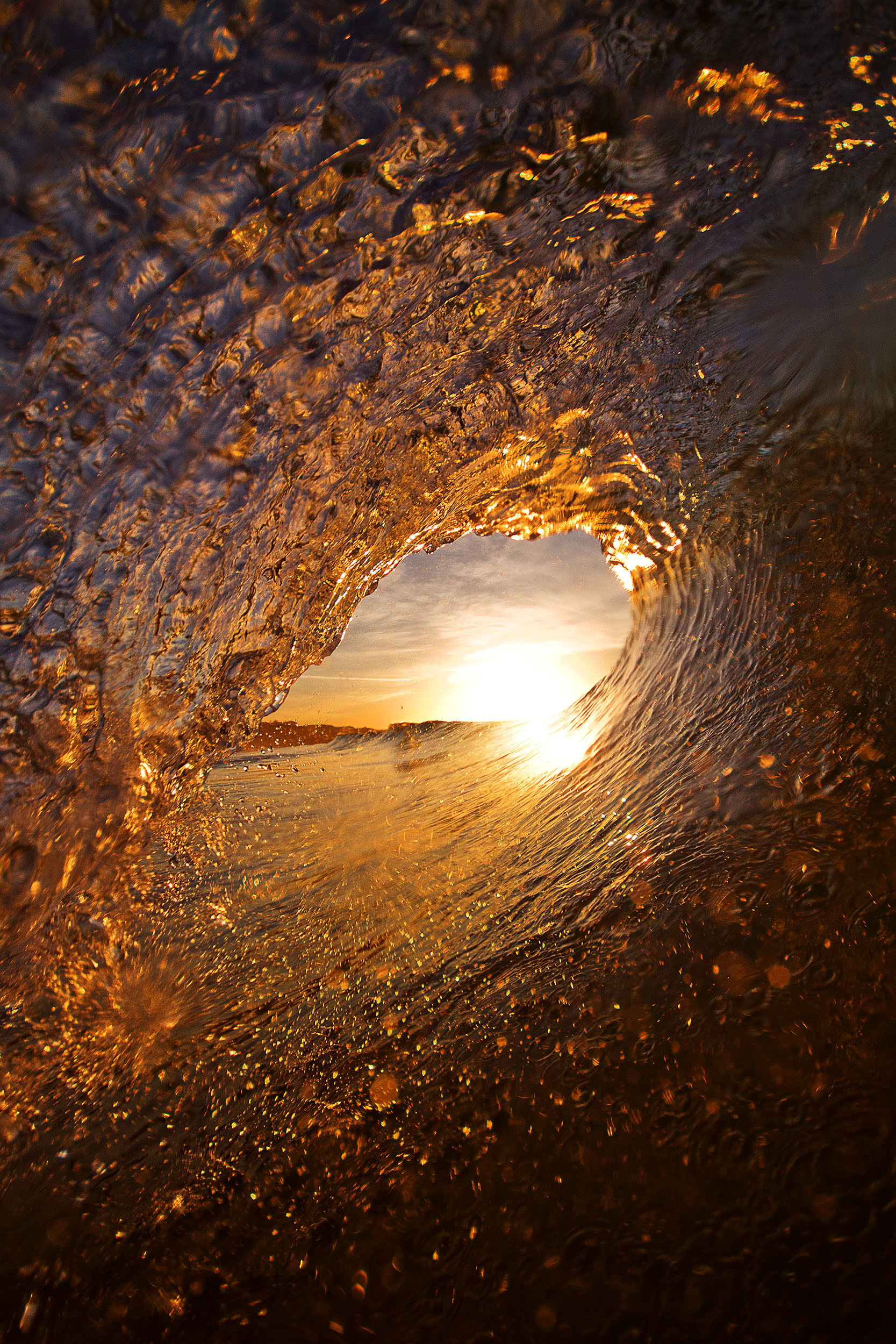 Golden Right - Autumn on the Fleurieu Peninsula