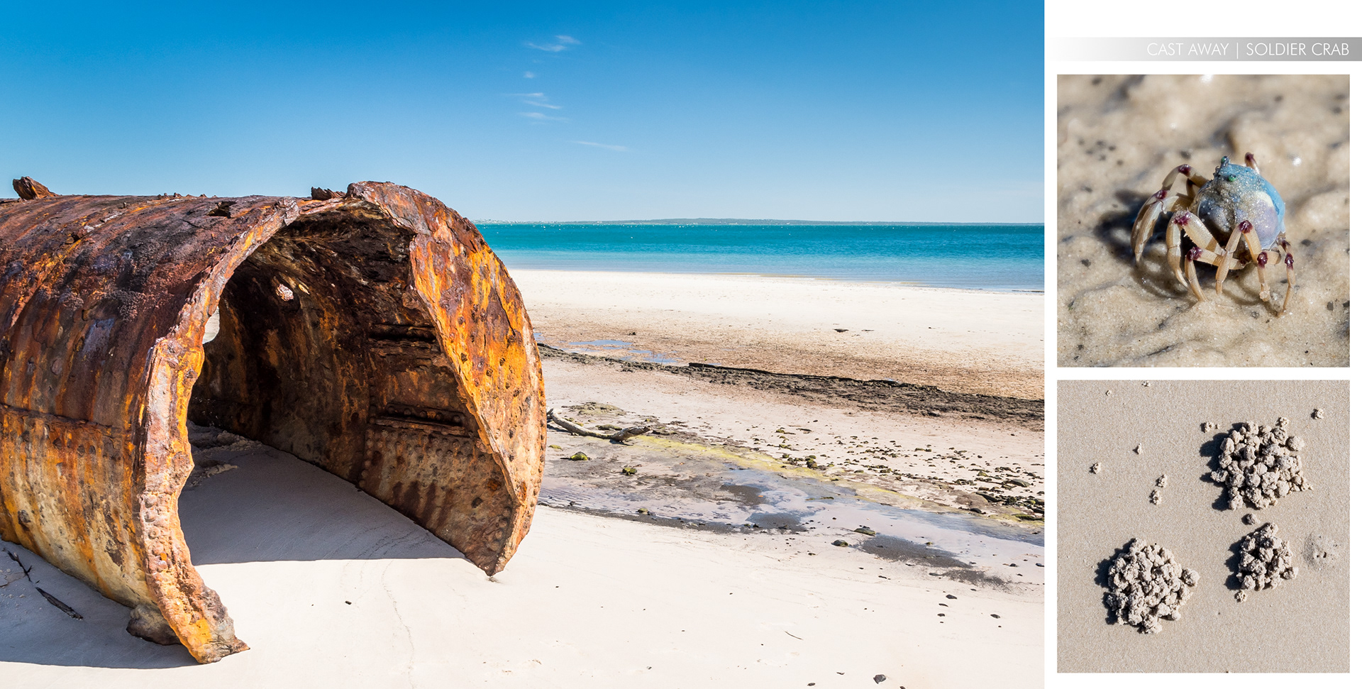 FRASER ISLAND | CAST AWAY & SOLDIER CRAB