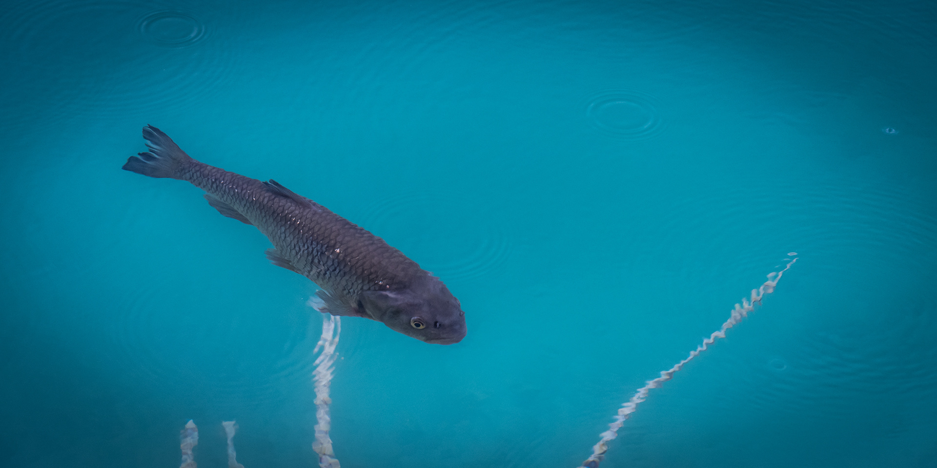 CROATIA | PLITVICE LAKES NATIONAL PARK