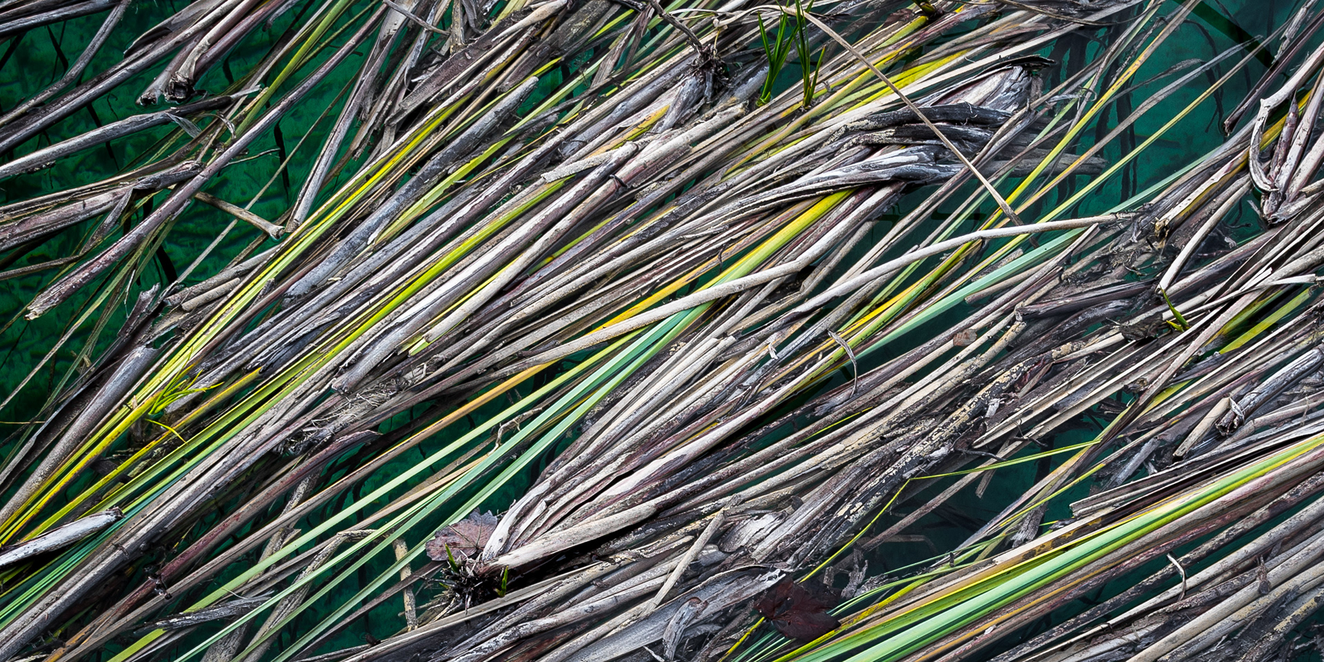 CROATIA | PLITVICE LAKES NATIONAL PARK