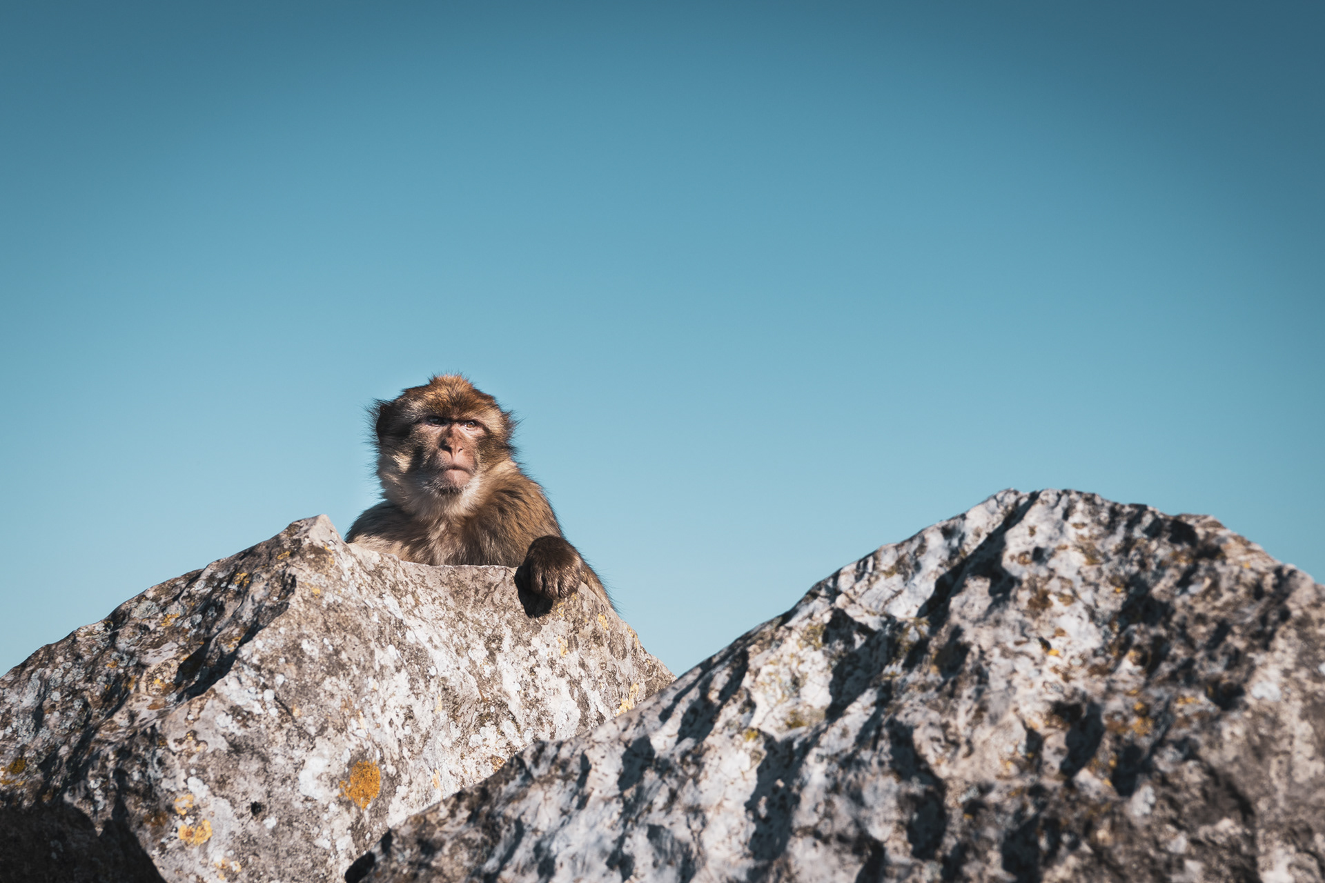 GIBRALTAR