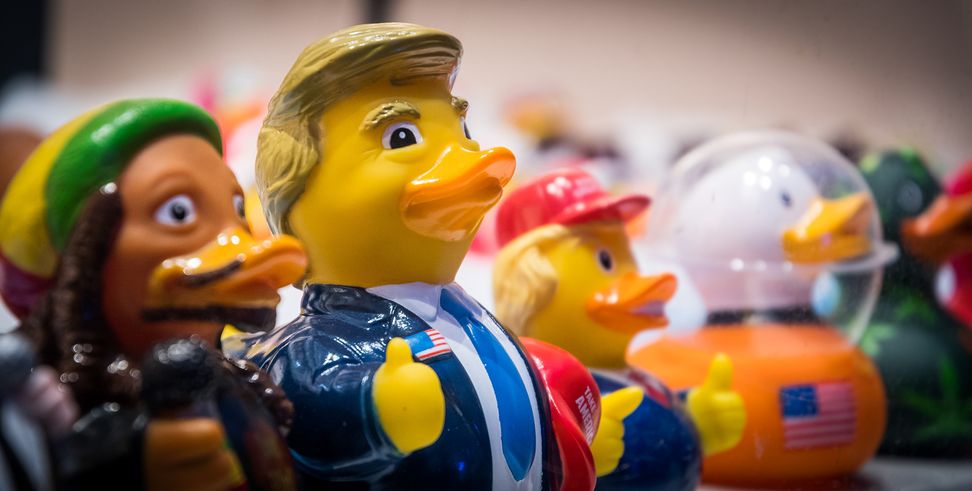 AMSTERDAM | DUCK PRESIDENT