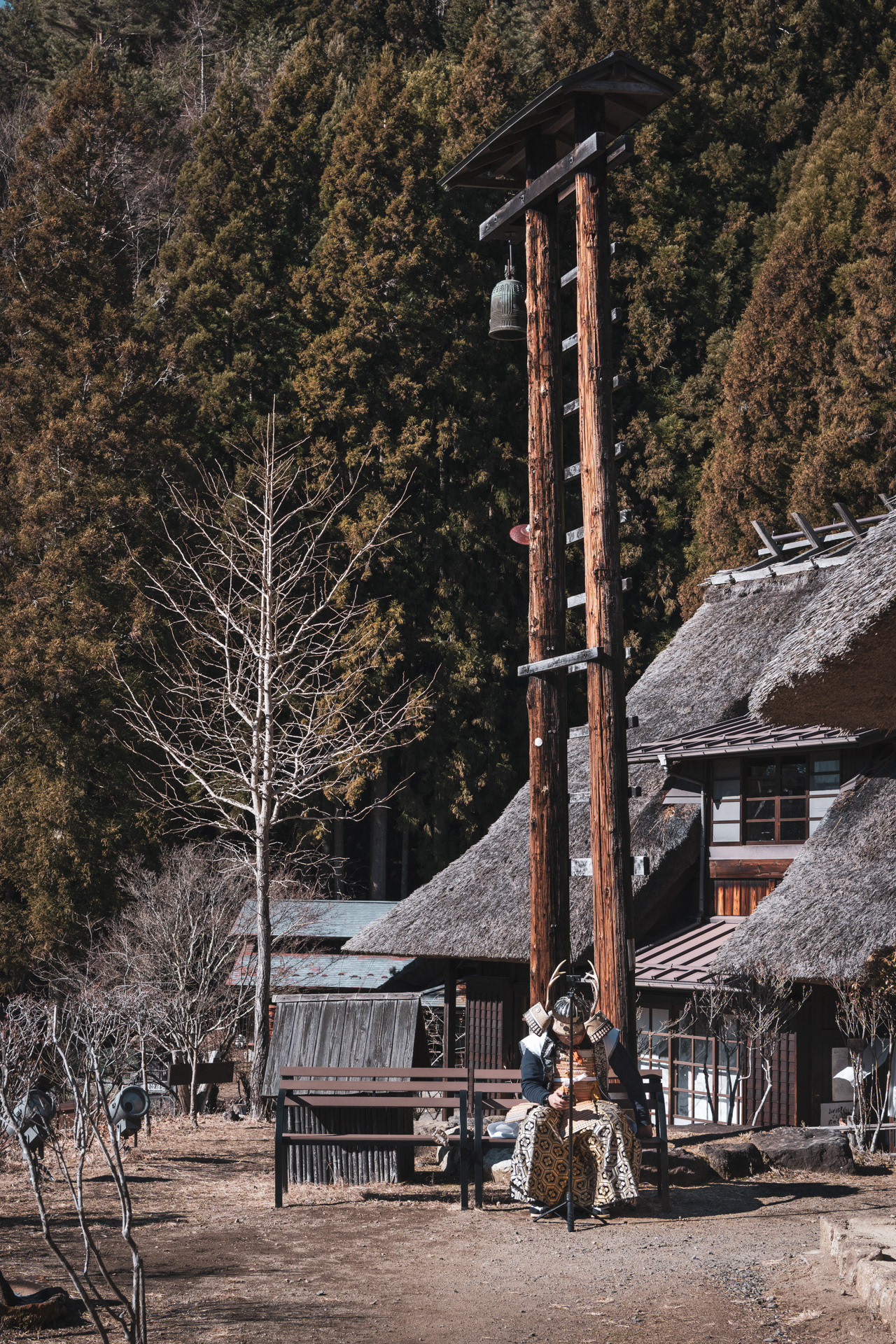 FUJIKAWAGUCHIKO | SAIKO IYASHI-NO-SATO NENBA