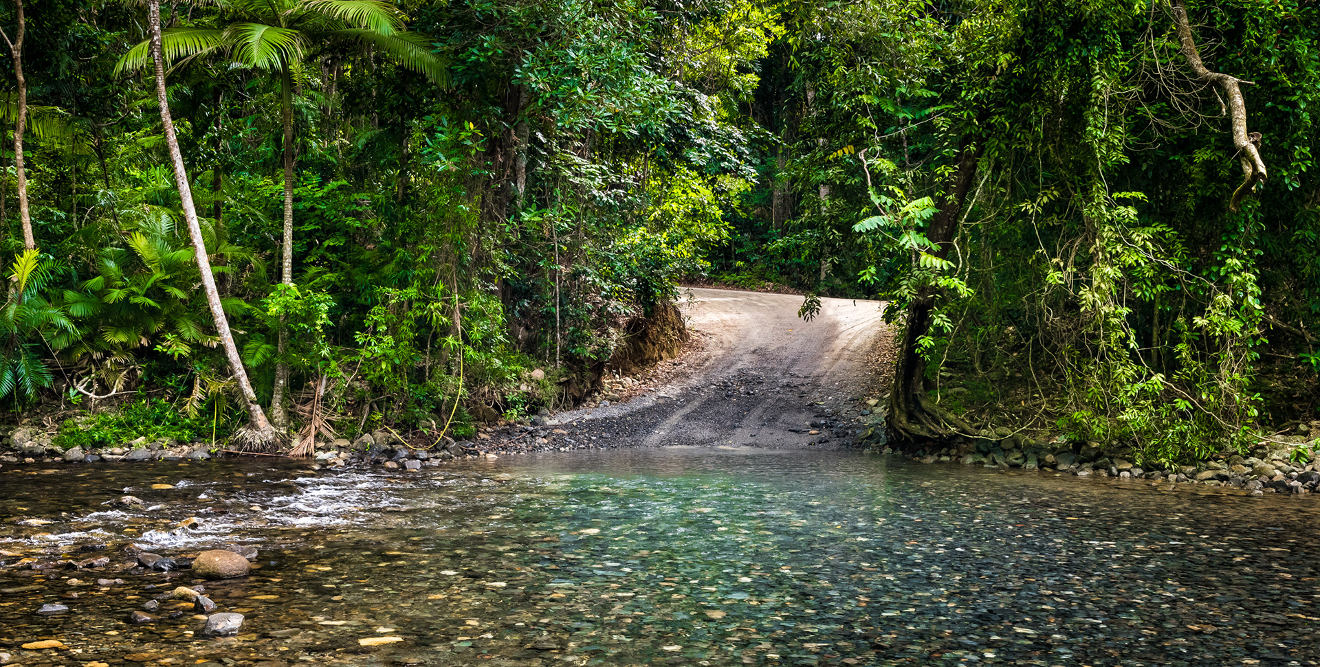 CAPE TRIBULATION | BLOOMFIELD ROAD