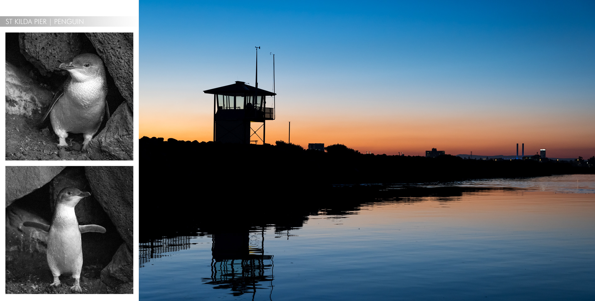 MELBOURNE | PENGUIN