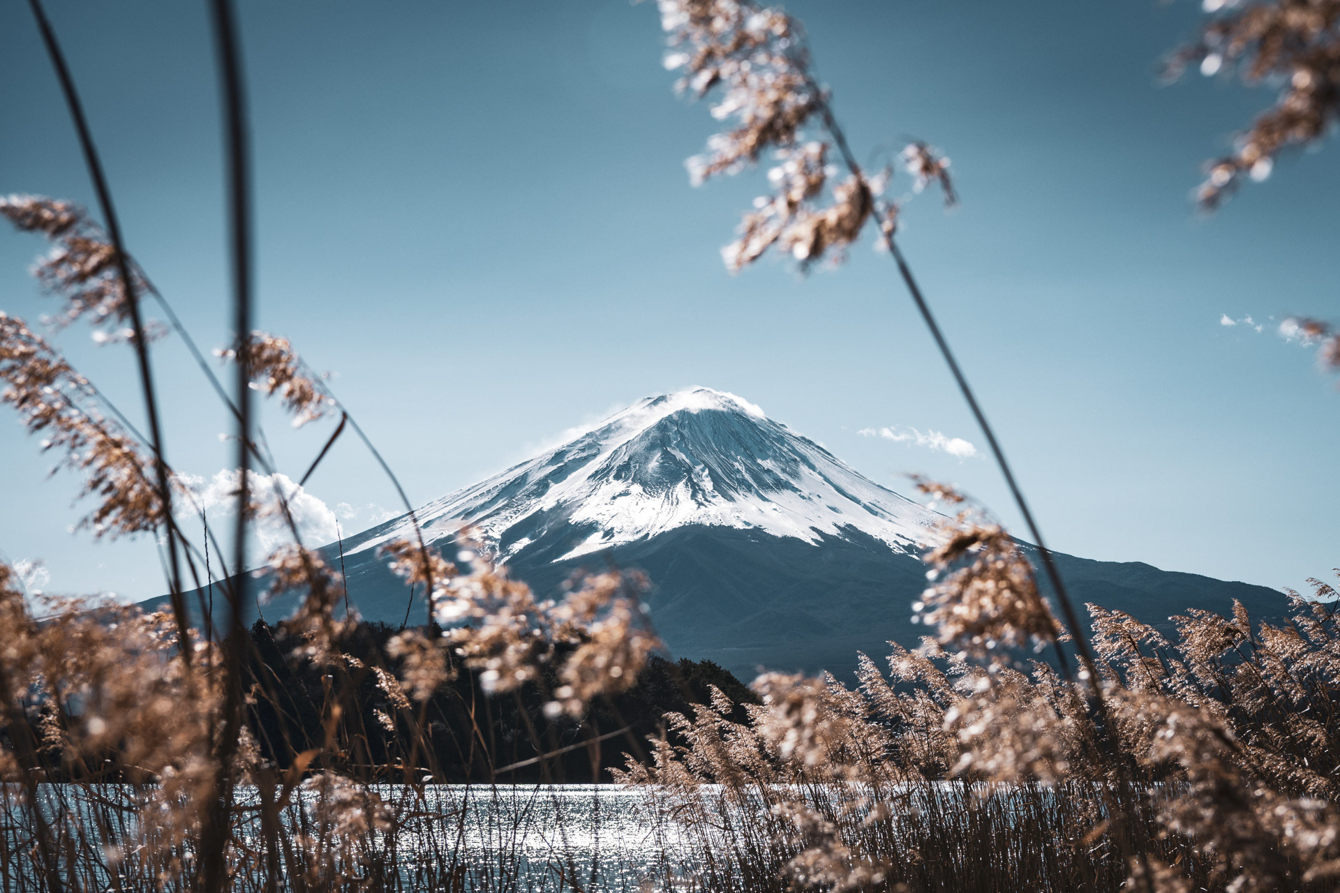 MINAMITSURU | FUJI