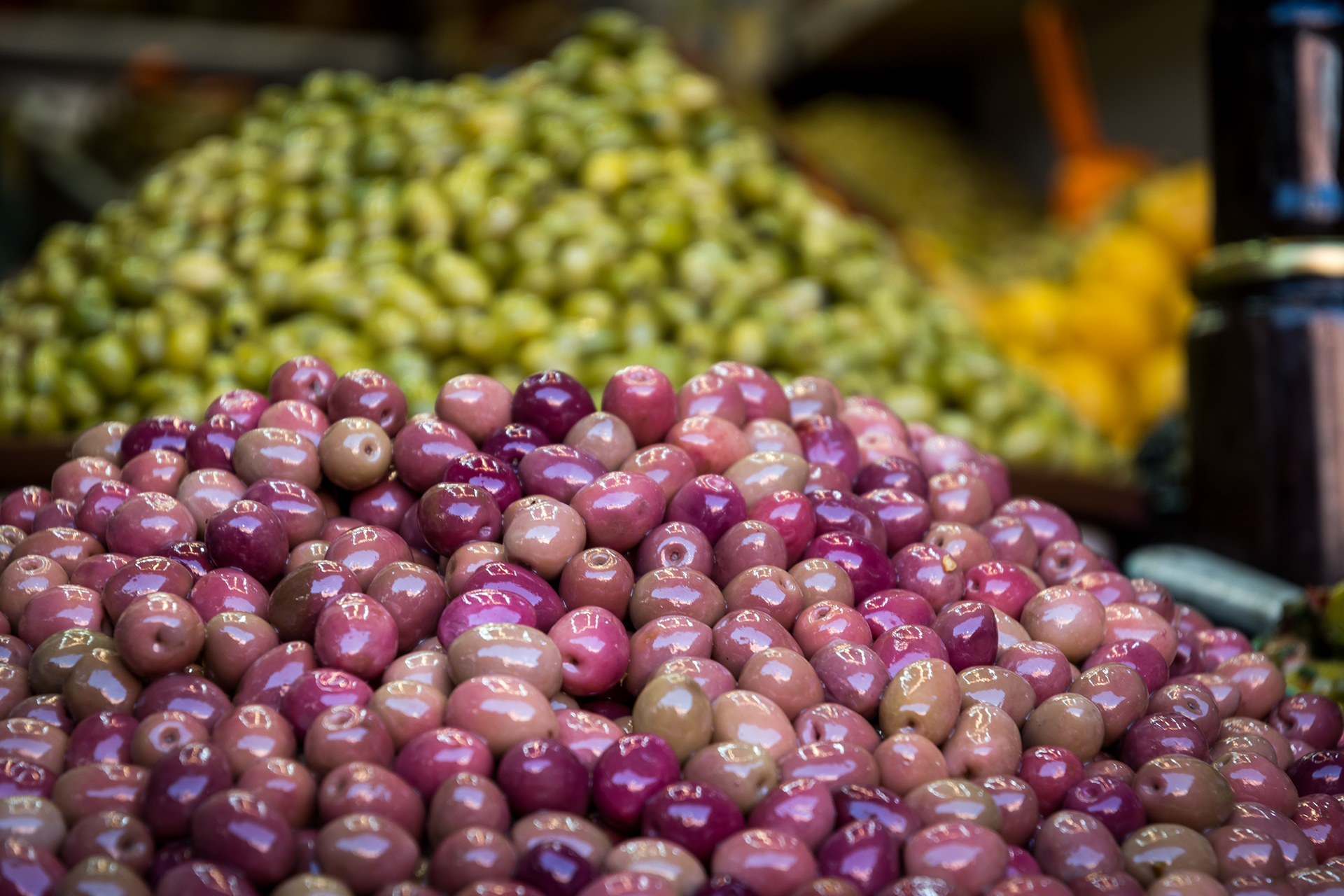 MARRAKESH | OLIVES