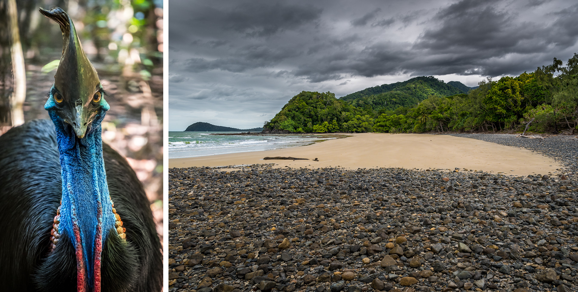 CAPE TRIBULATION | CASSOWARY & EMMAGEN BEACH