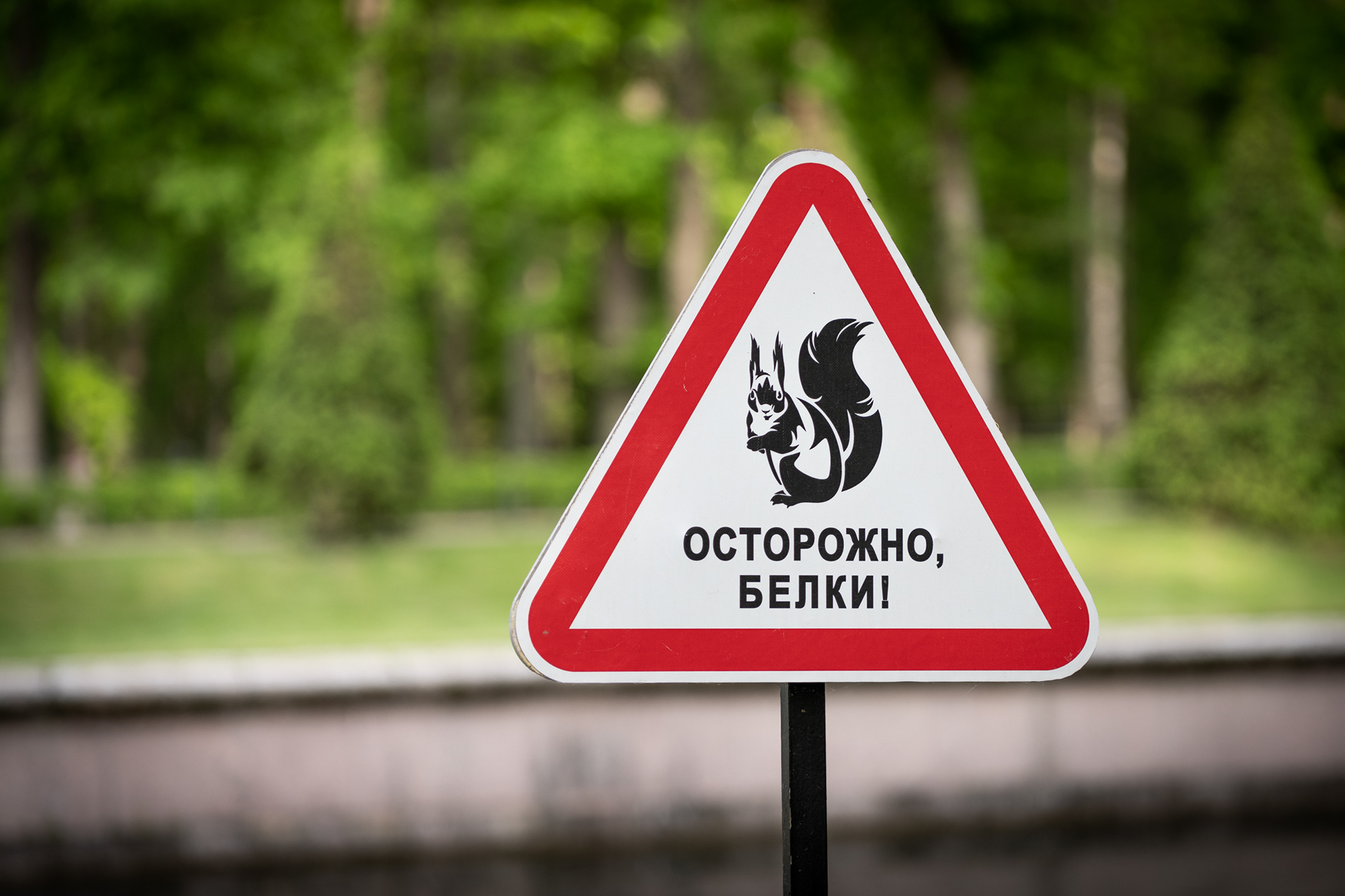 SAINT PETERSBURG | PETERHOF PALACE