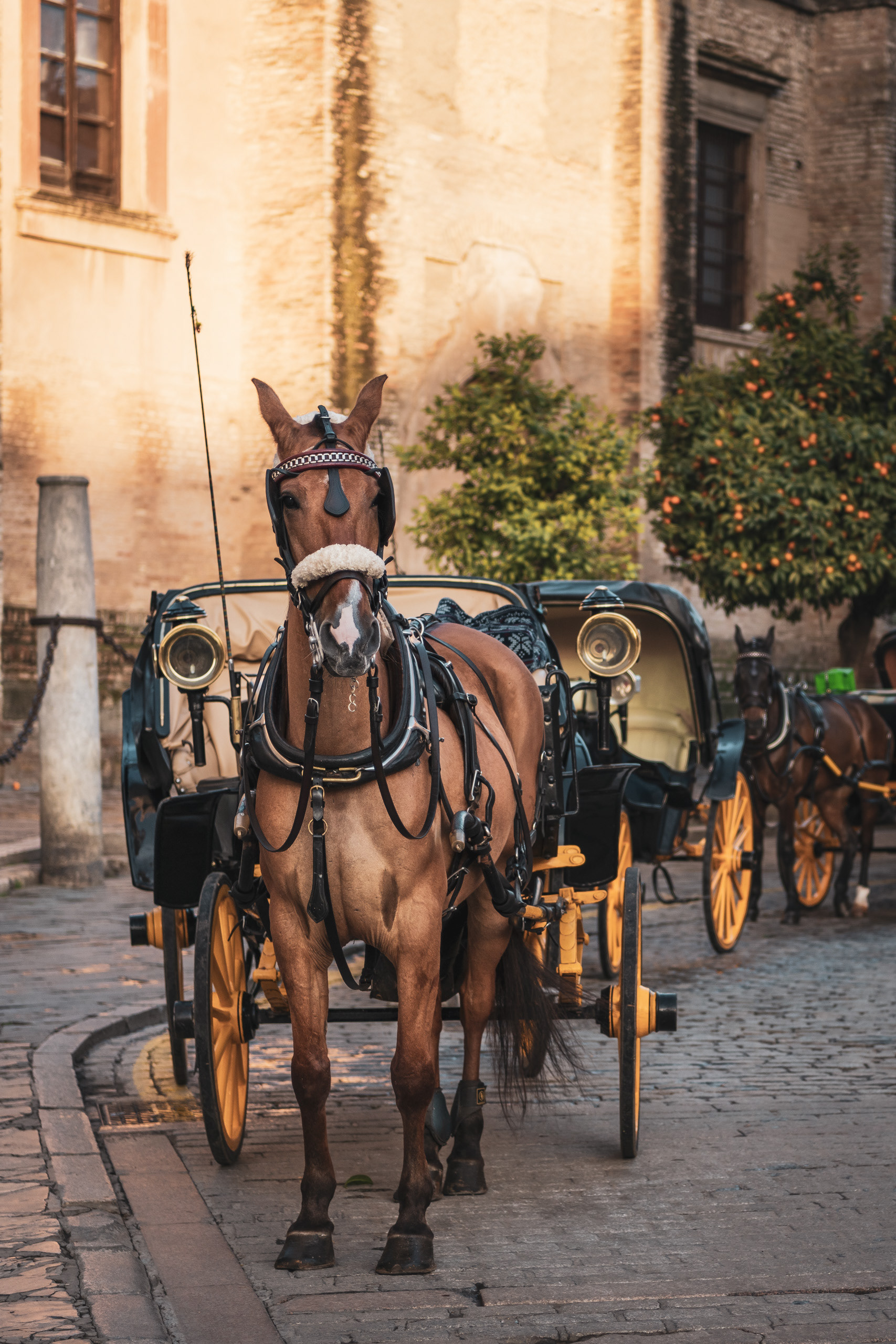 SEVILLE