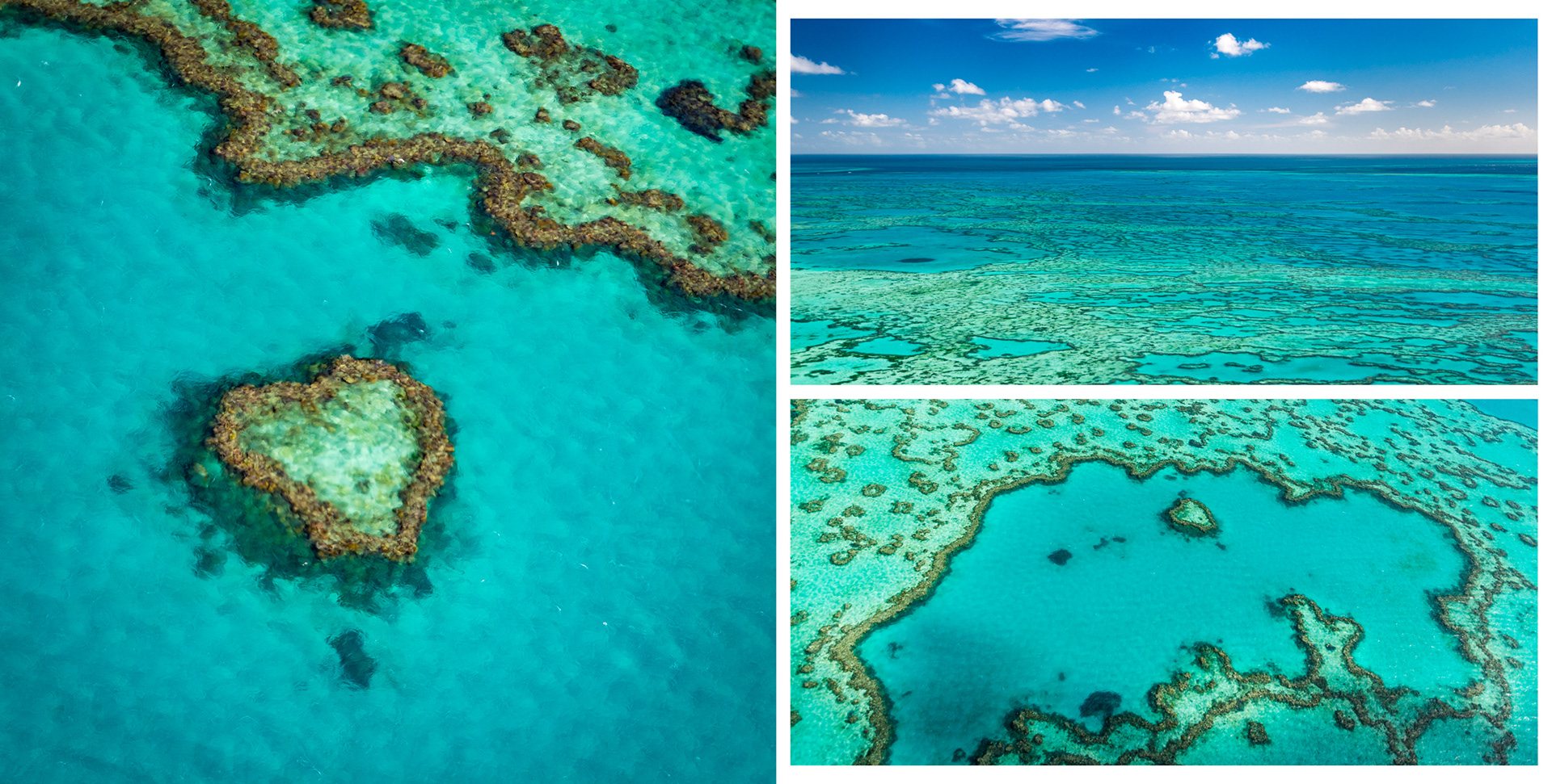 GREAT BARRIER REEF | HEART REEF