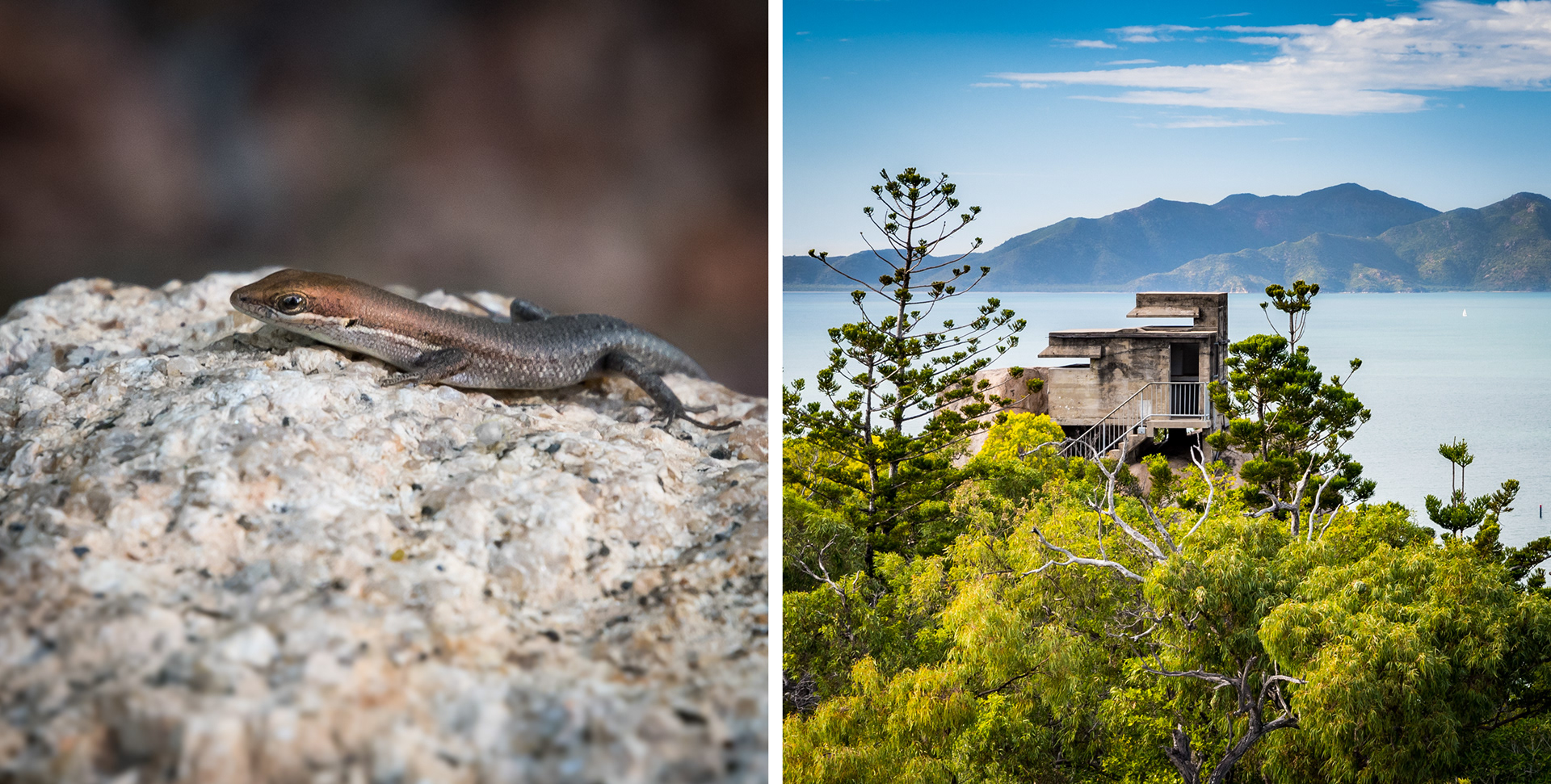 MAGNETIC ISLAND | LIZAR & FORTS