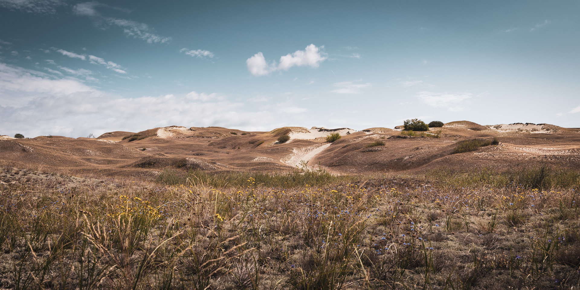 LITHUANIA | NEGYVOSIOS KOPOS
