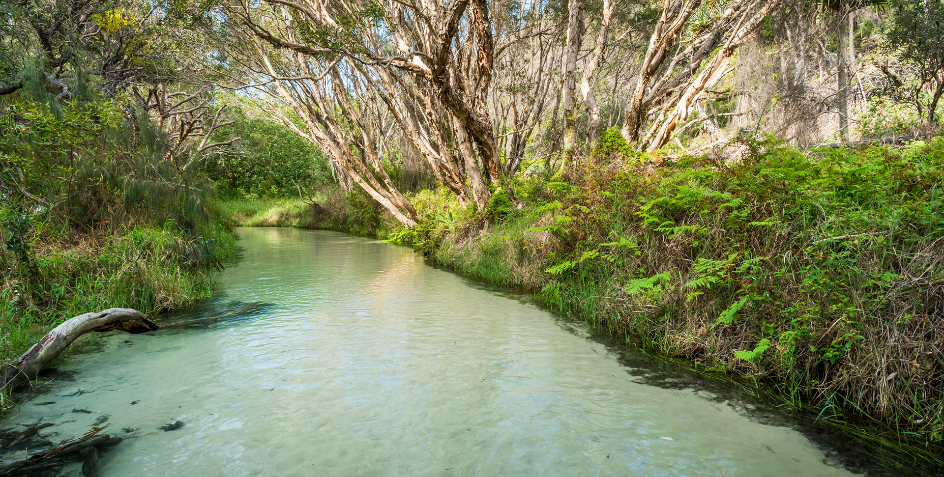 FRASER ISLAND | ELI CREEK