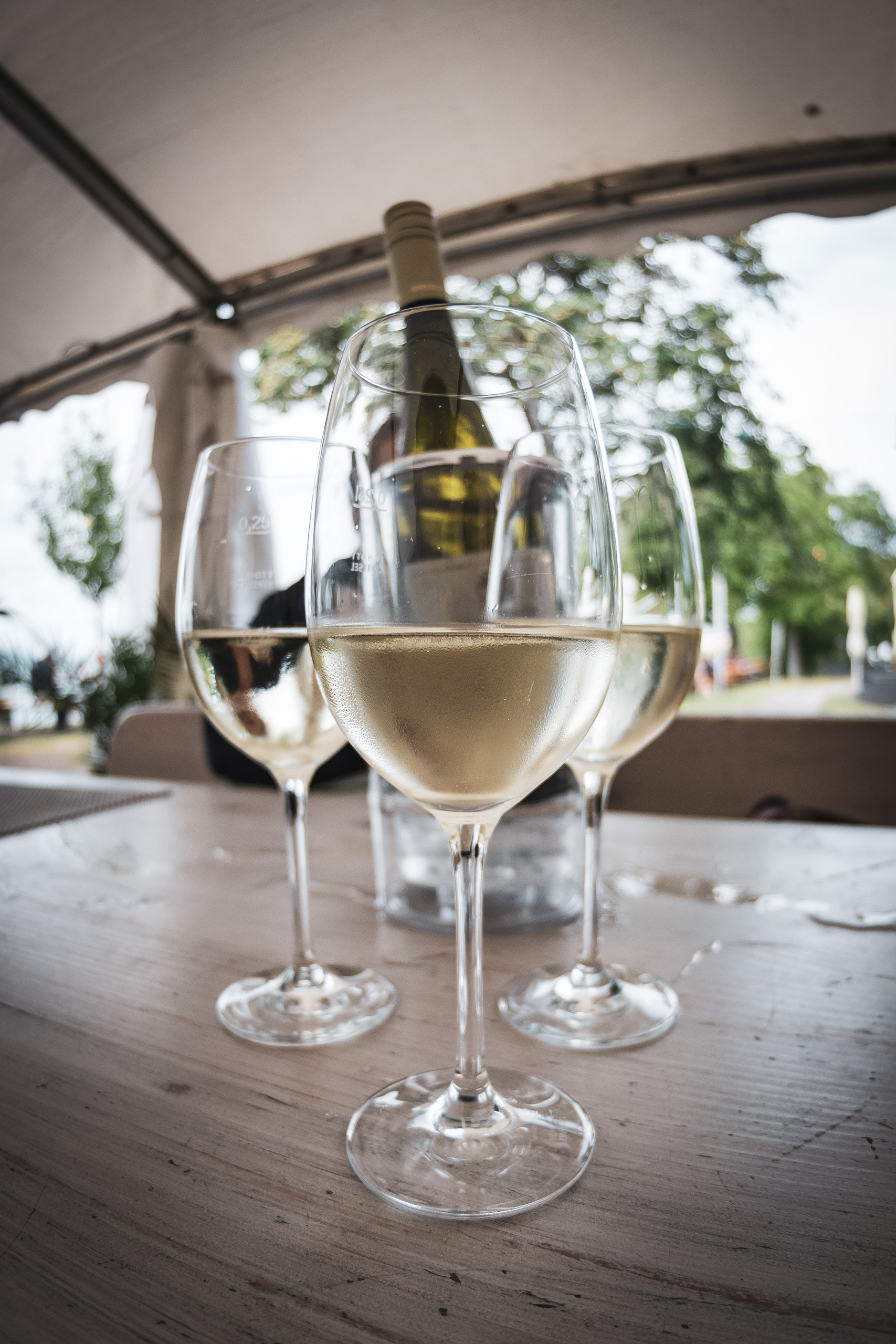 HALTNAU | EXCELLENT WHITE WINE