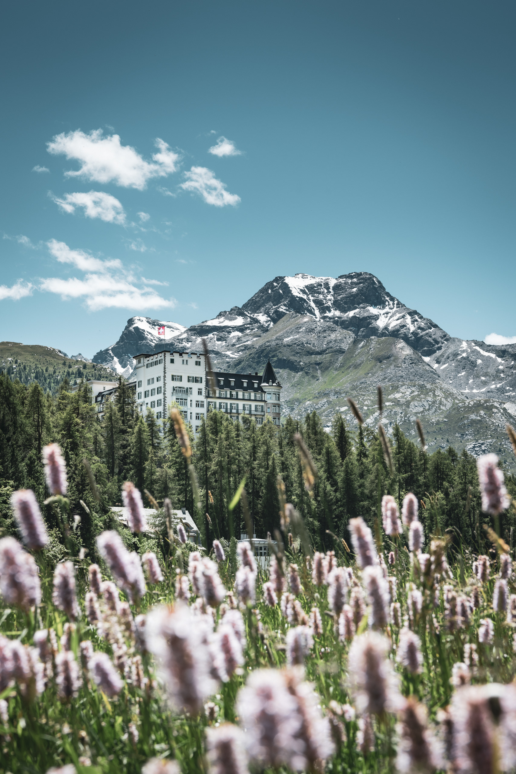 CANTON OF GRISONS | WALDHAUS SILS