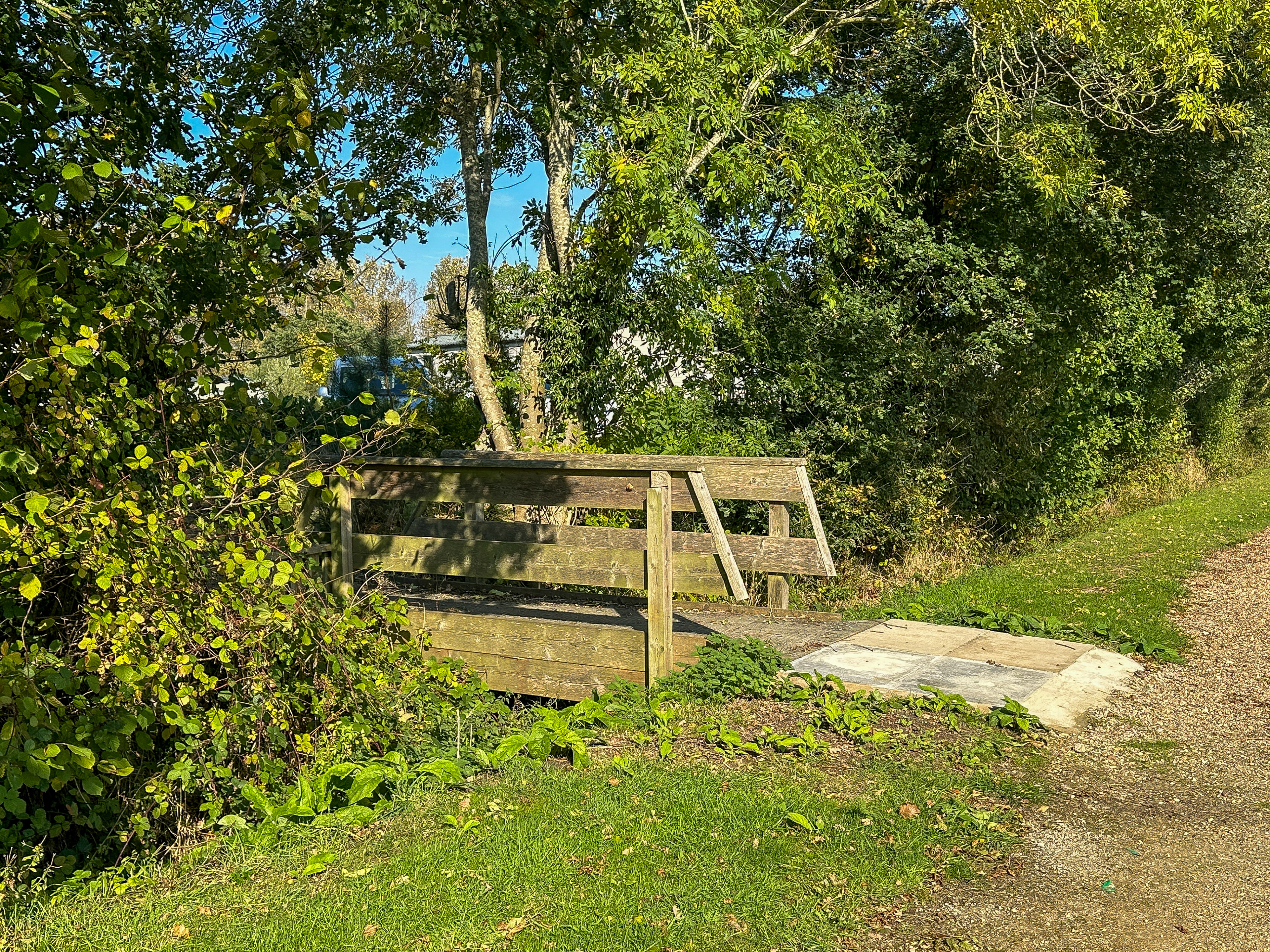The Bridge