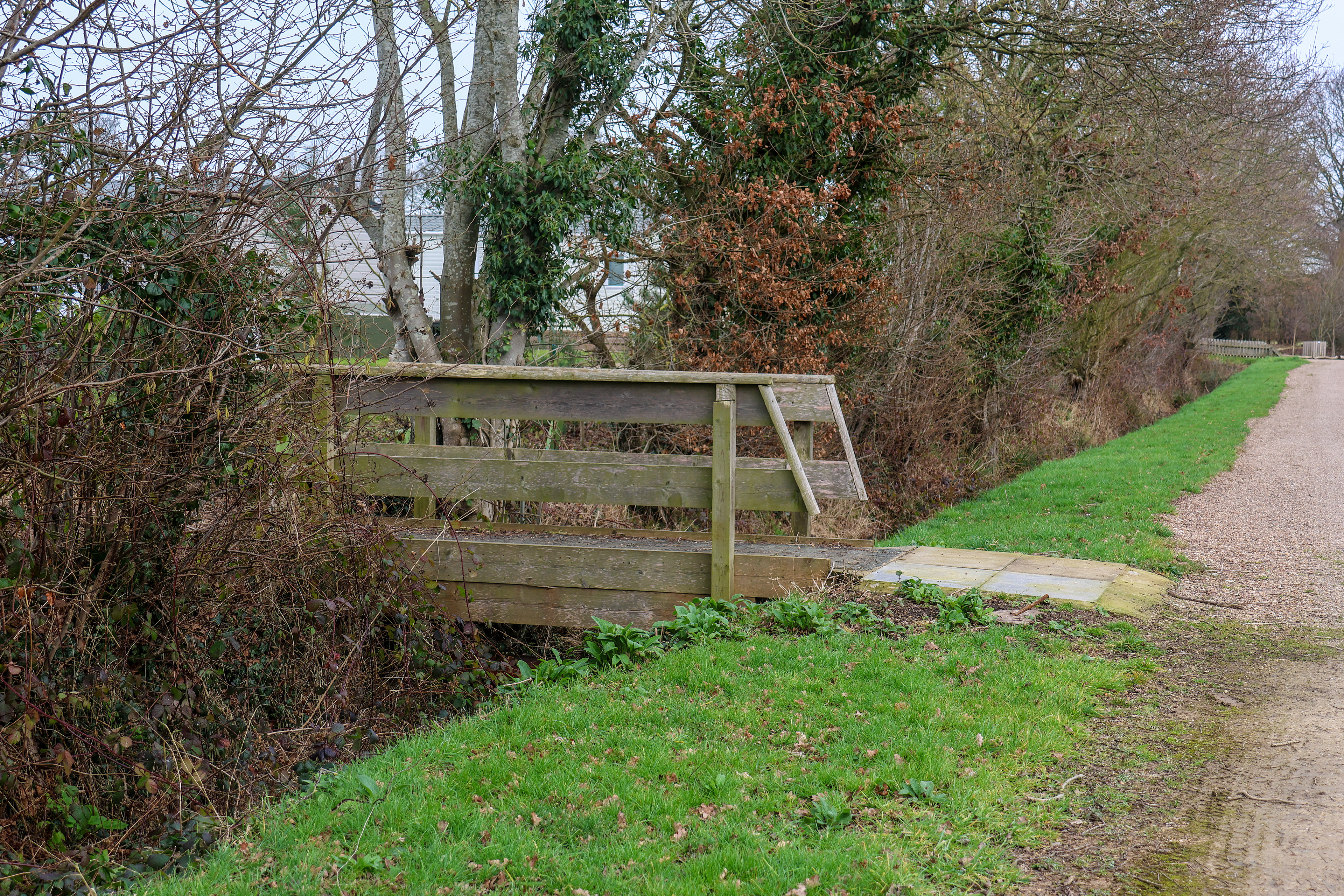 The Bridge
