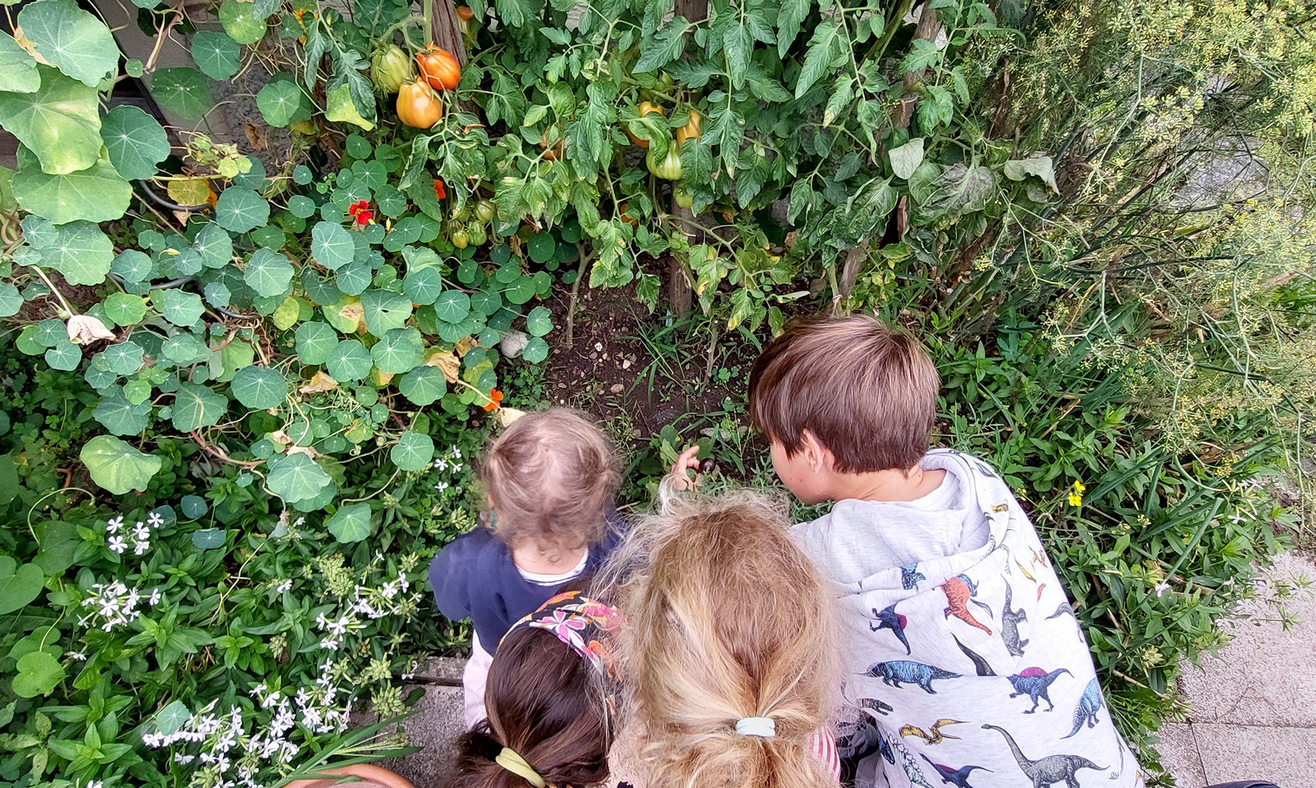 Der Garten hat viel zu bieten!