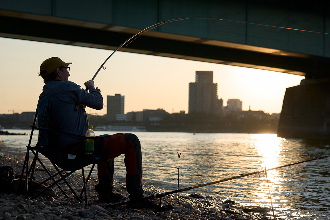Angler am Rhein (2024)