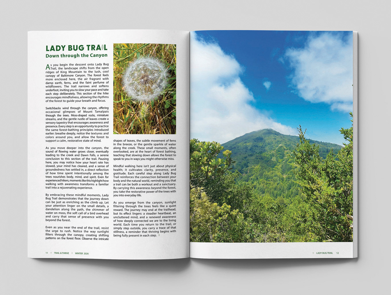 Trail + Thrive Magazine Winter interior spread Mock up