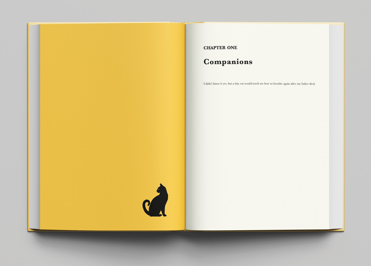 The Boy and the Cat that Stayed, Chapter Opening