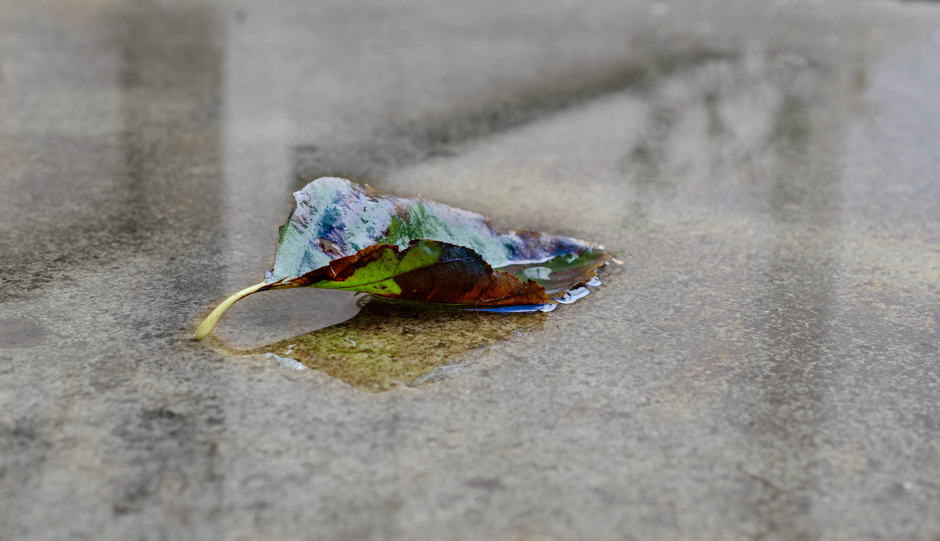 Black and white... with a touch of color