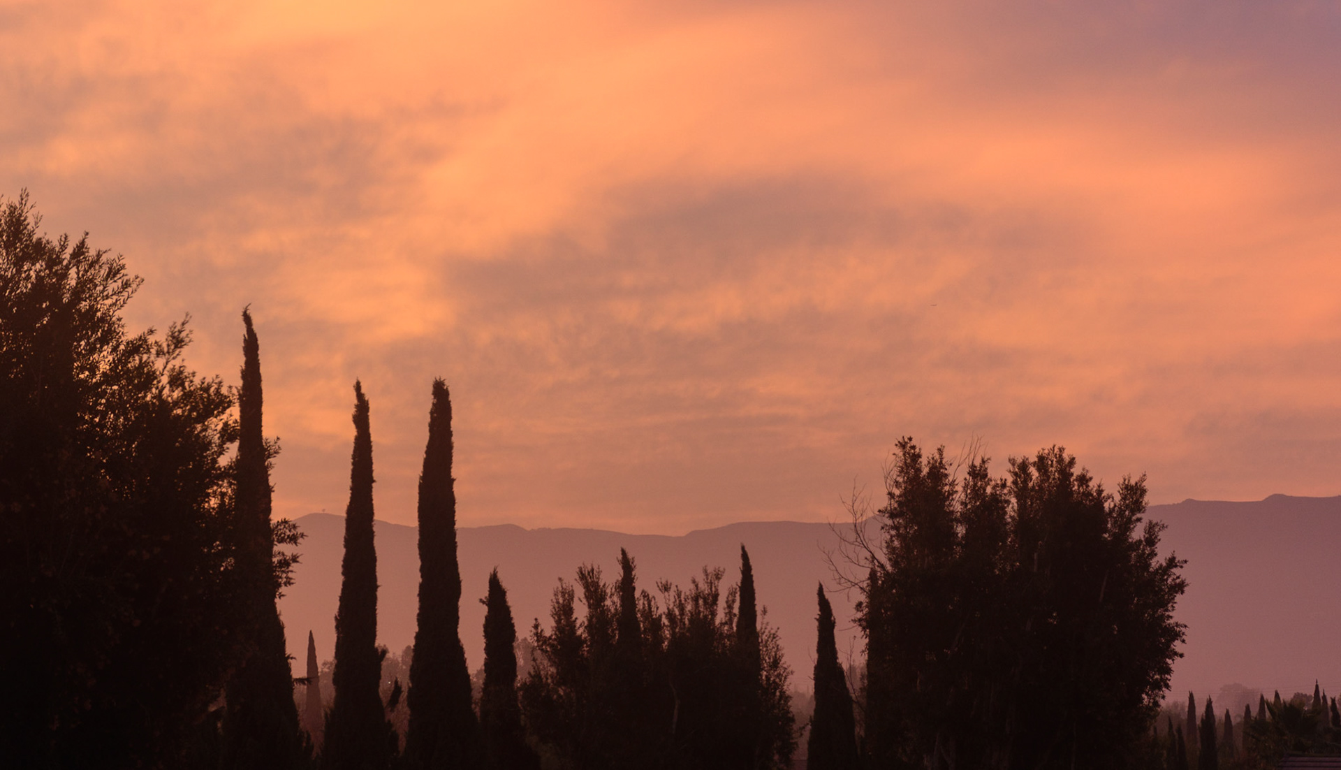 Everyday is a new beginning