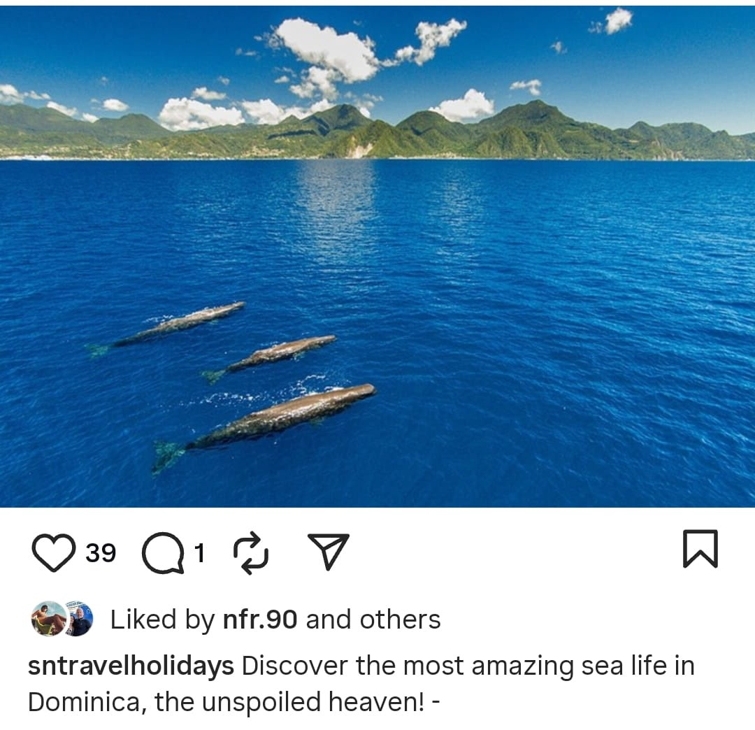 Insta post