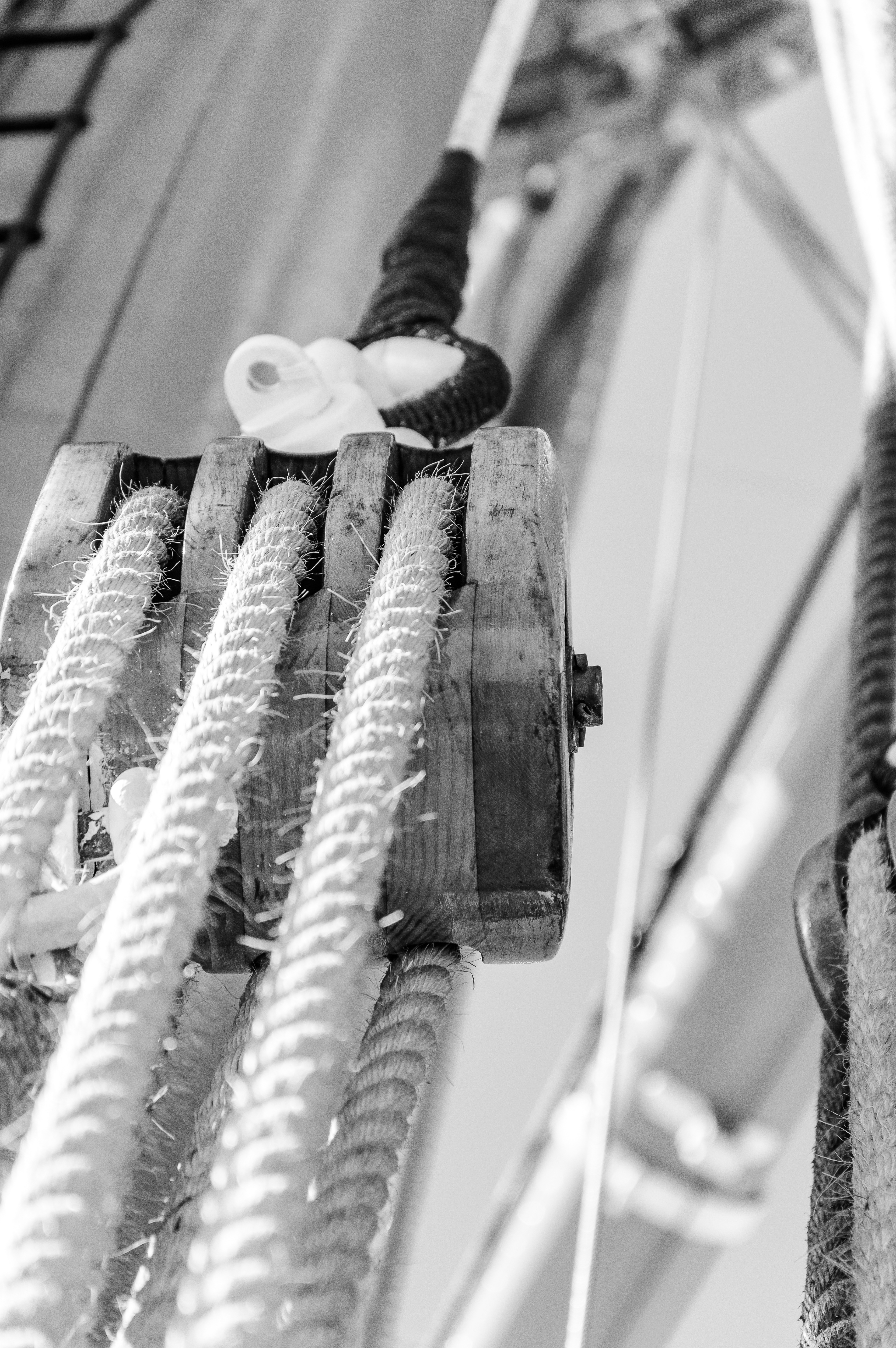 Photo: Cetti Lipari | Starring: School Ship “Amerigo Vespucci”