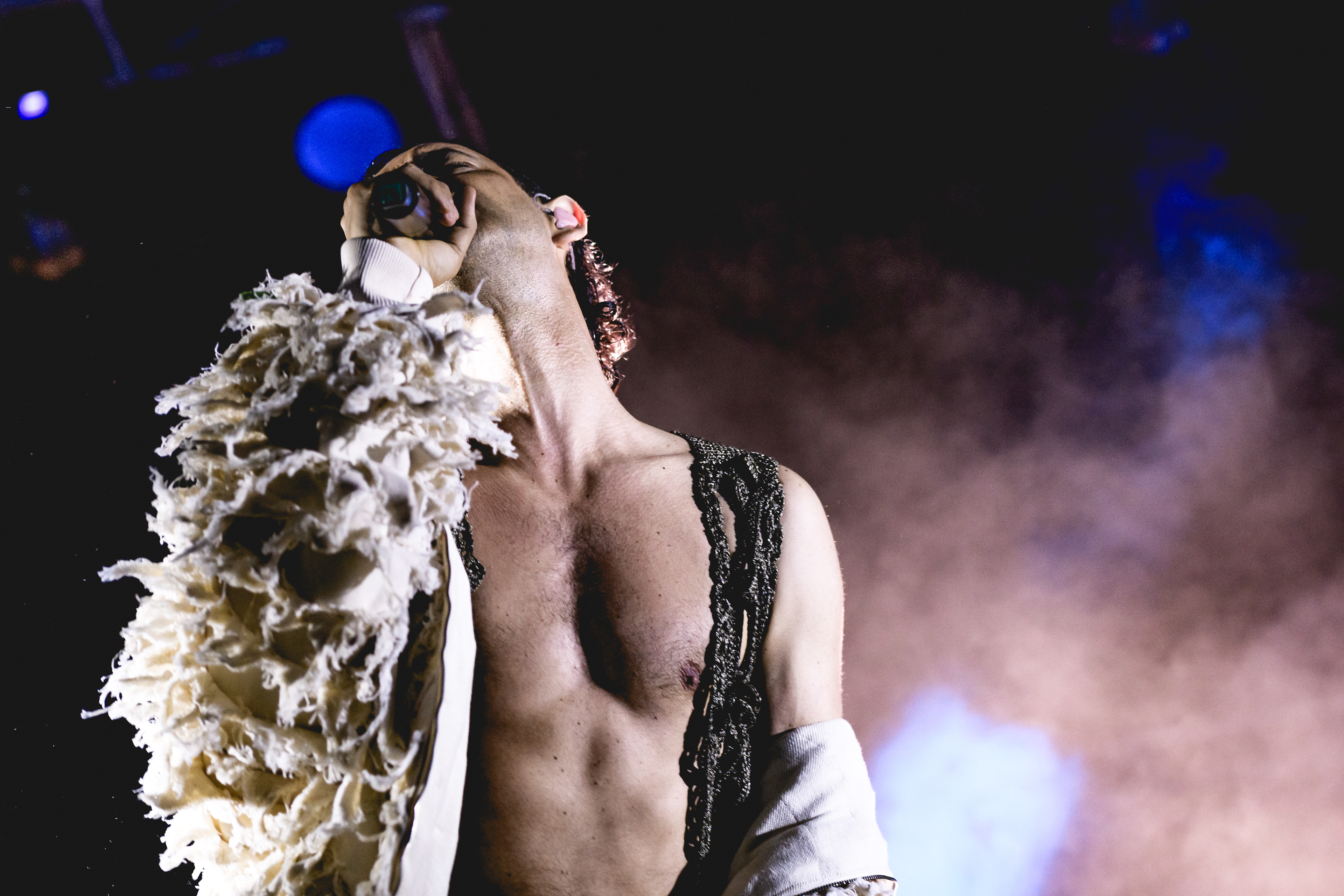 Starring: Cosmo | Photo © Cetti Lipari