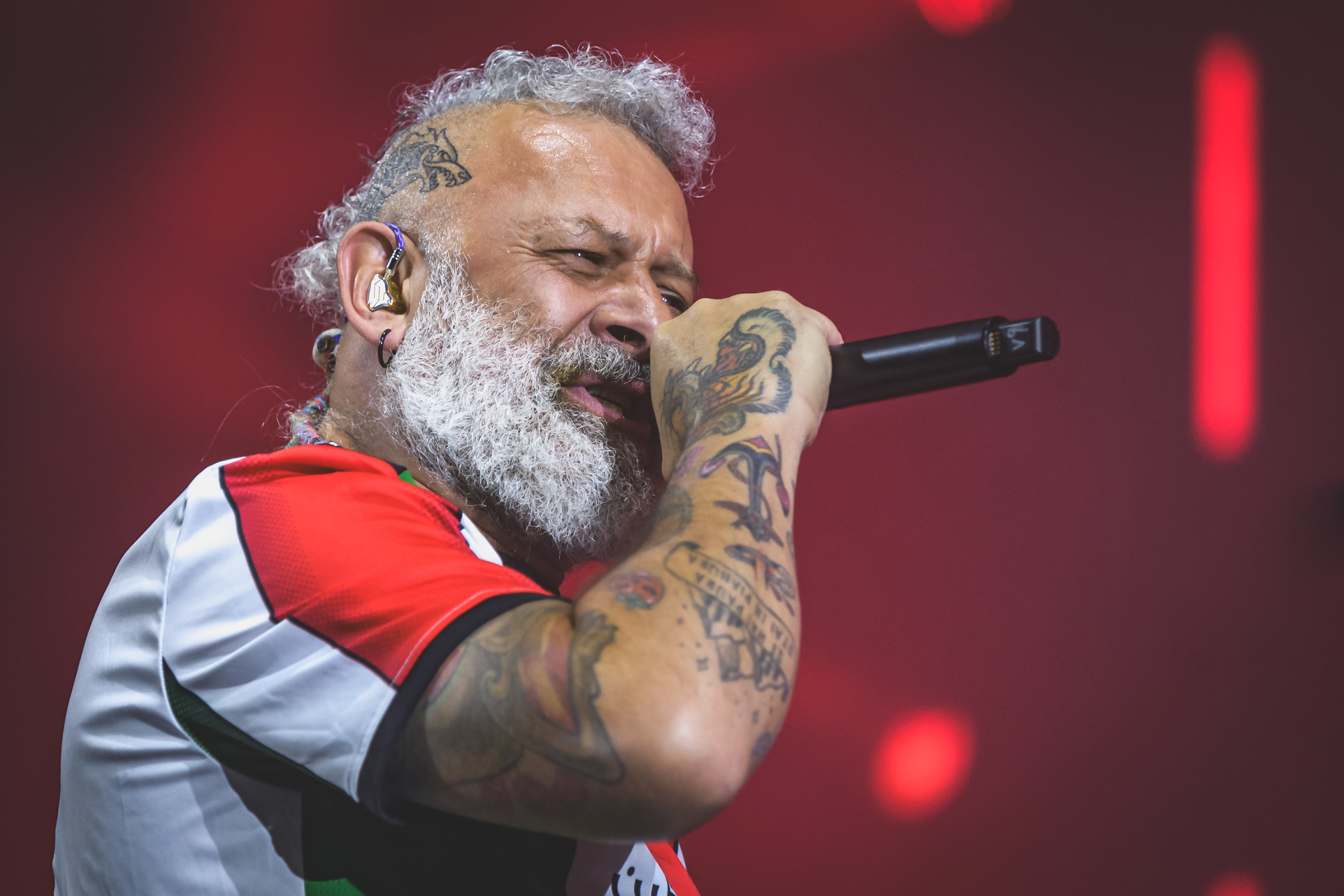 Starring: Modena City Ramblers | Photo © Cetti Lipari