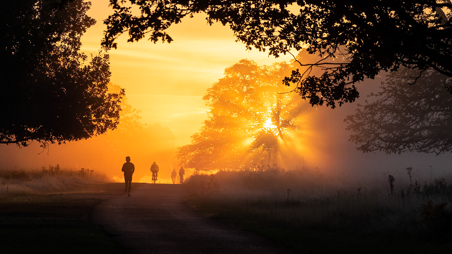 Richmond Park