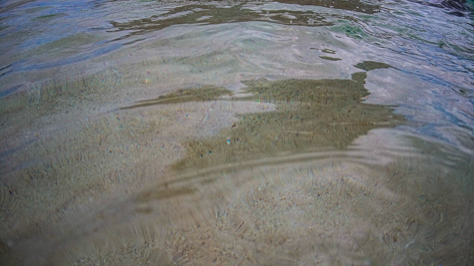 DCIM\100PRLNZ\PARA0056.