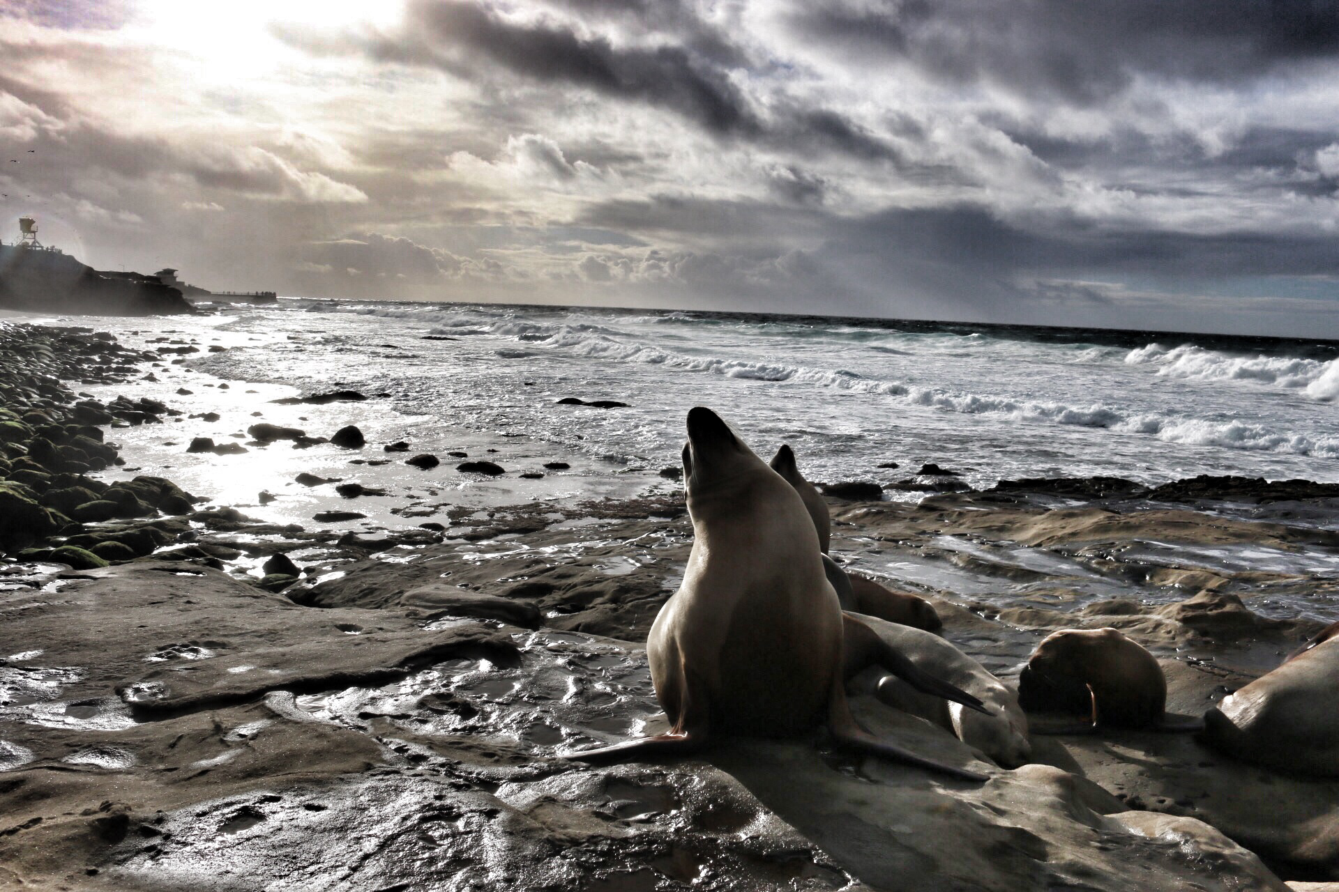 San Diego, California