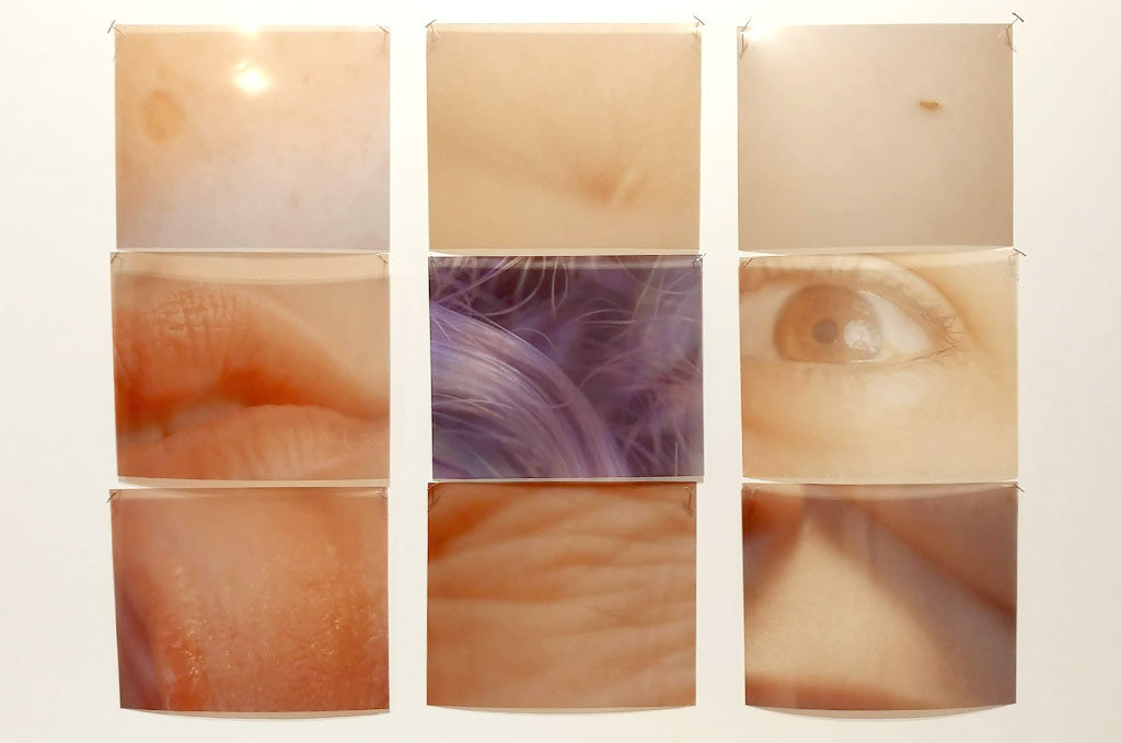 Six full colour photographs of different body parts hanging on a wall