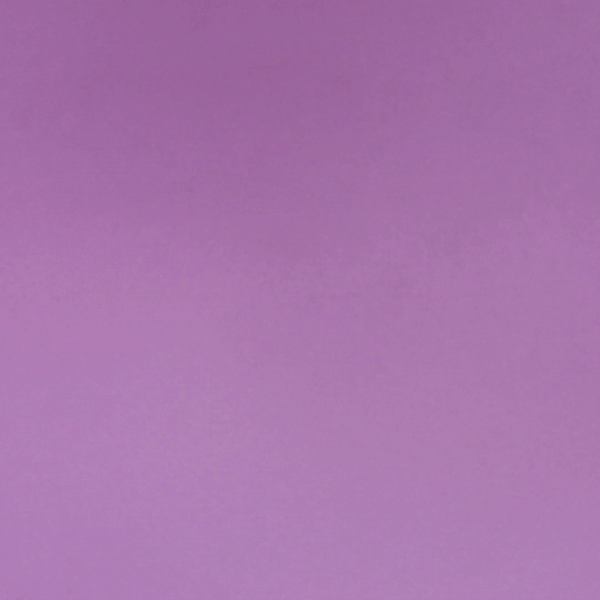 CASEY'S OFF TO PORTLAND GIF