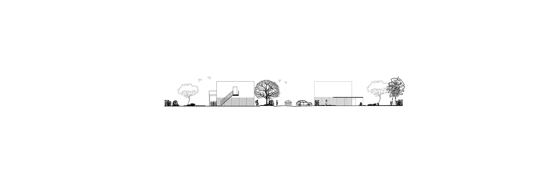 Section C for Hotdog Plot