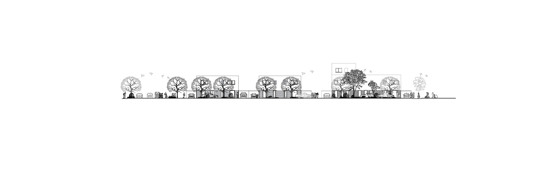 Section C for Pizza Plot