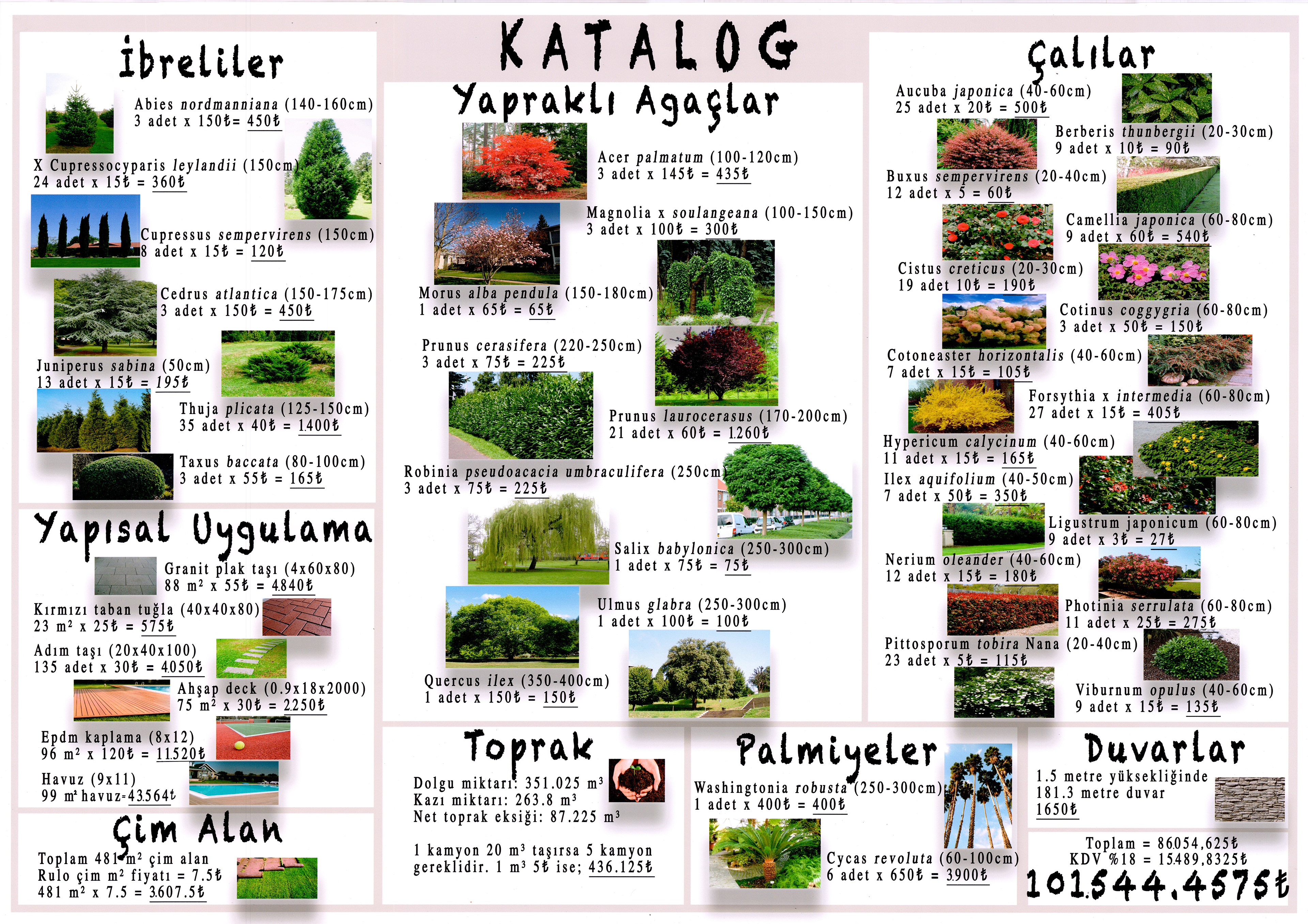 Catalog