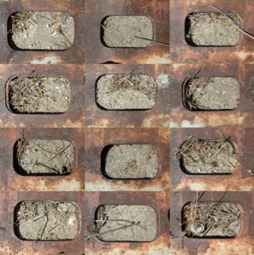 Digital photography.