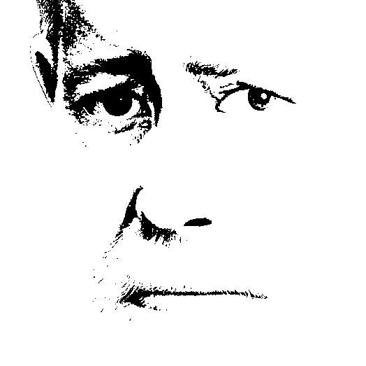 Scanned image.