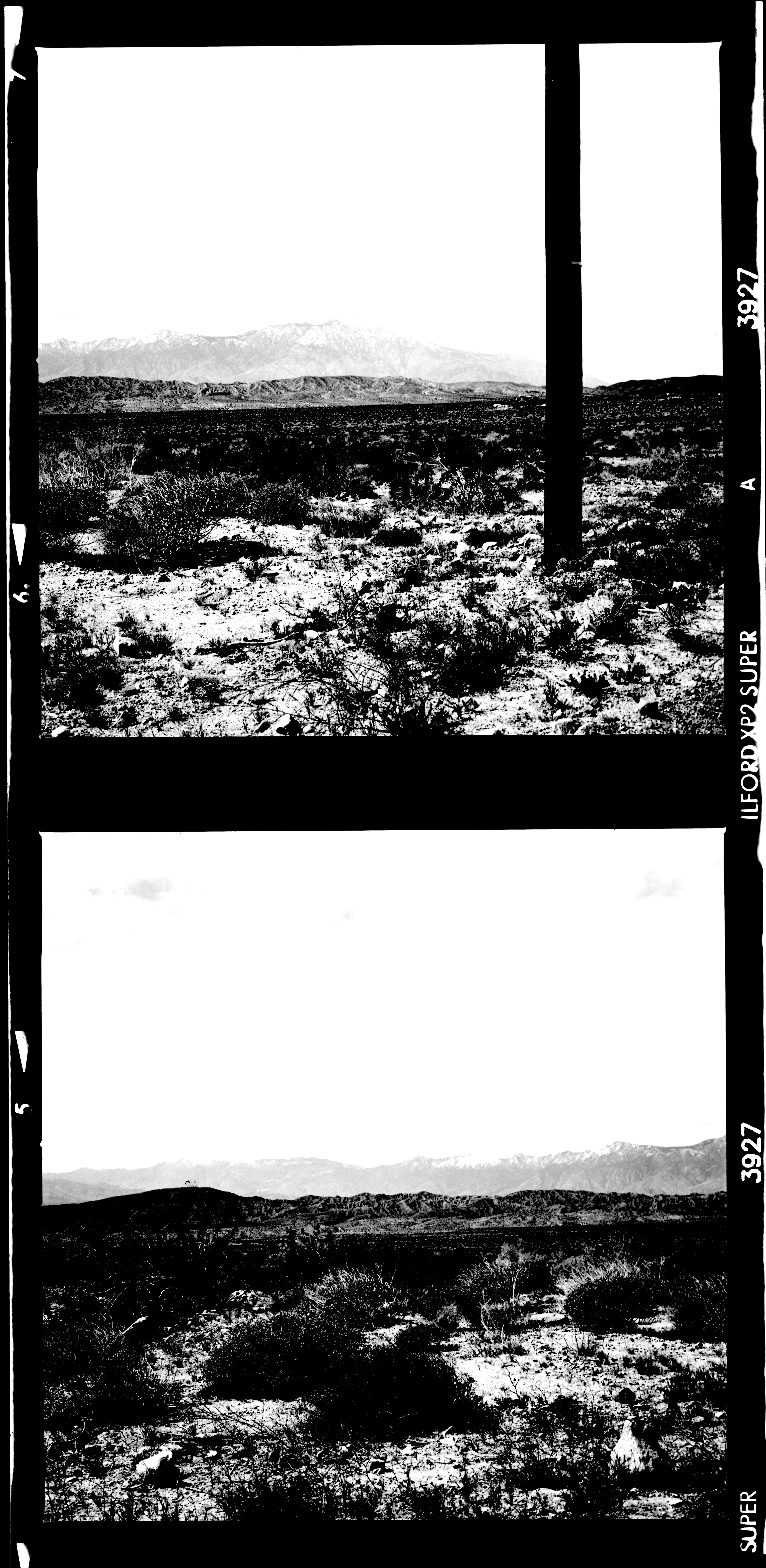 Scanned 120mm film negative.