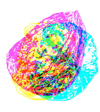 Scanned object