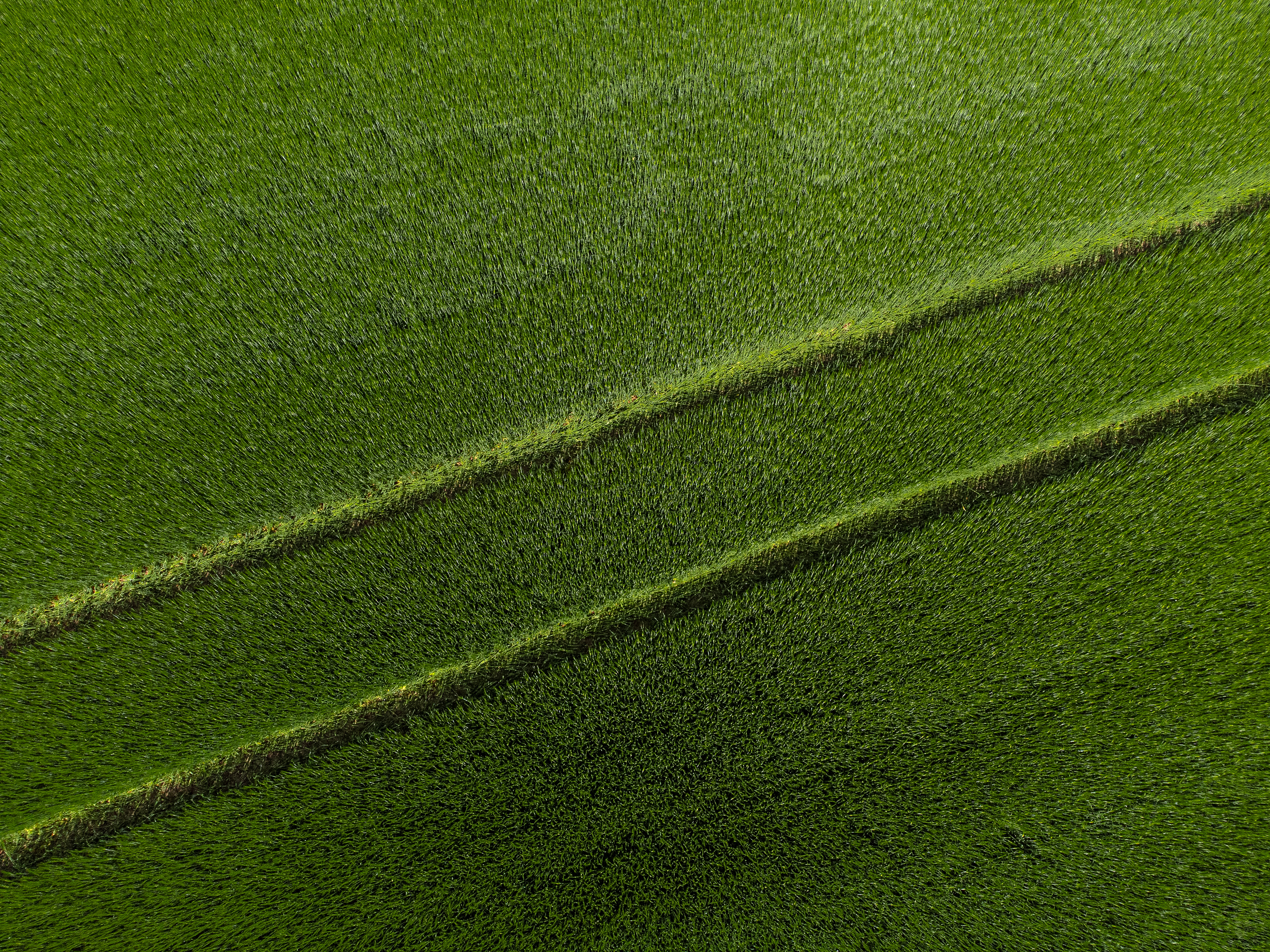 Jsem fotograf z Přerova, zachycuji věci co mne zaujmou, Přerov, Bečva a jeho okolí.  Tučín rozhledna, tučínská rozhledna, římská věž. Cyklovýlet kousek za Přerovem.