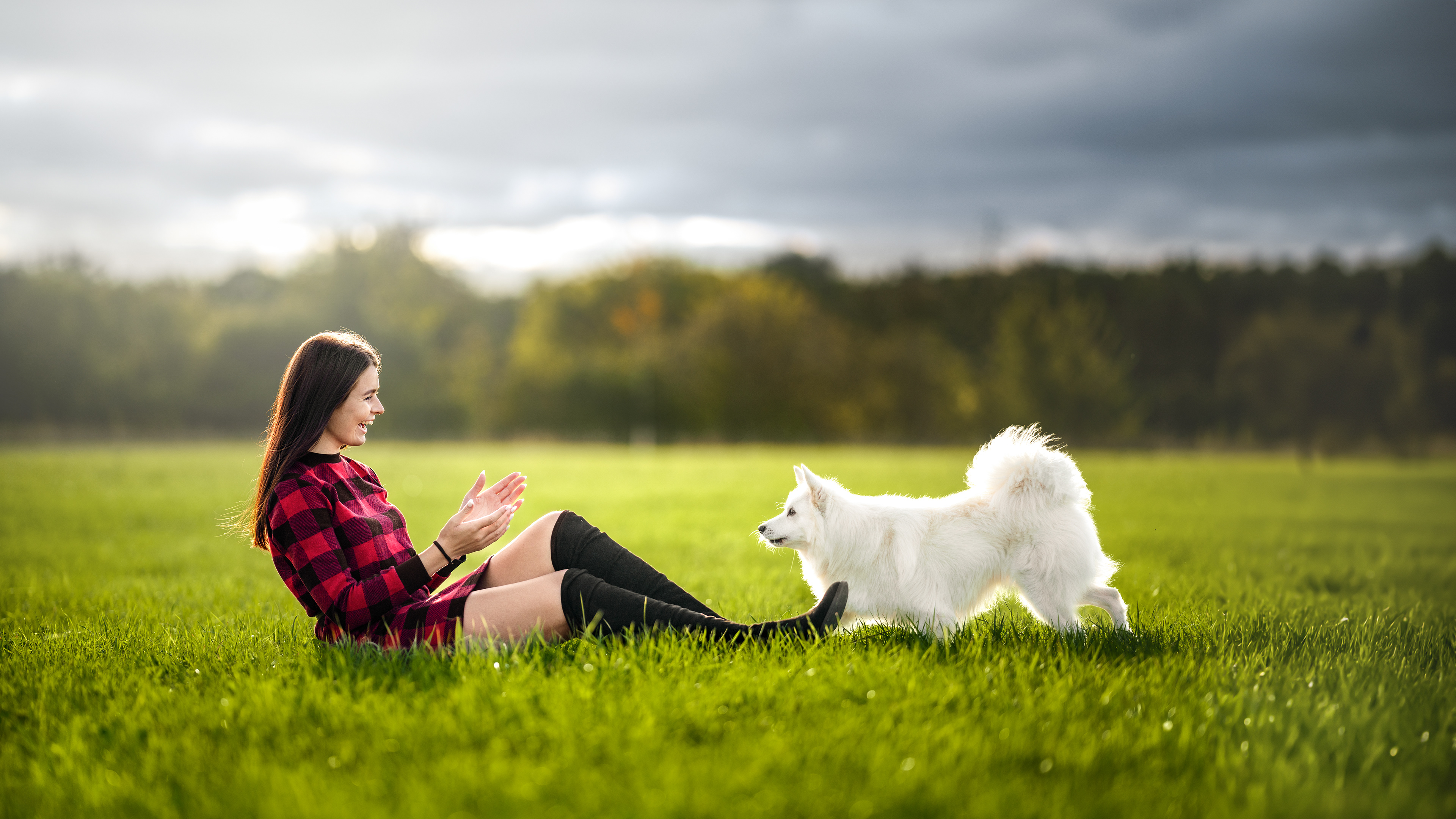 Pes a holka se radují ze své vlastní přítomnosti, společnosti, života. nádherná louka, měkké světlo, zelená tráva.