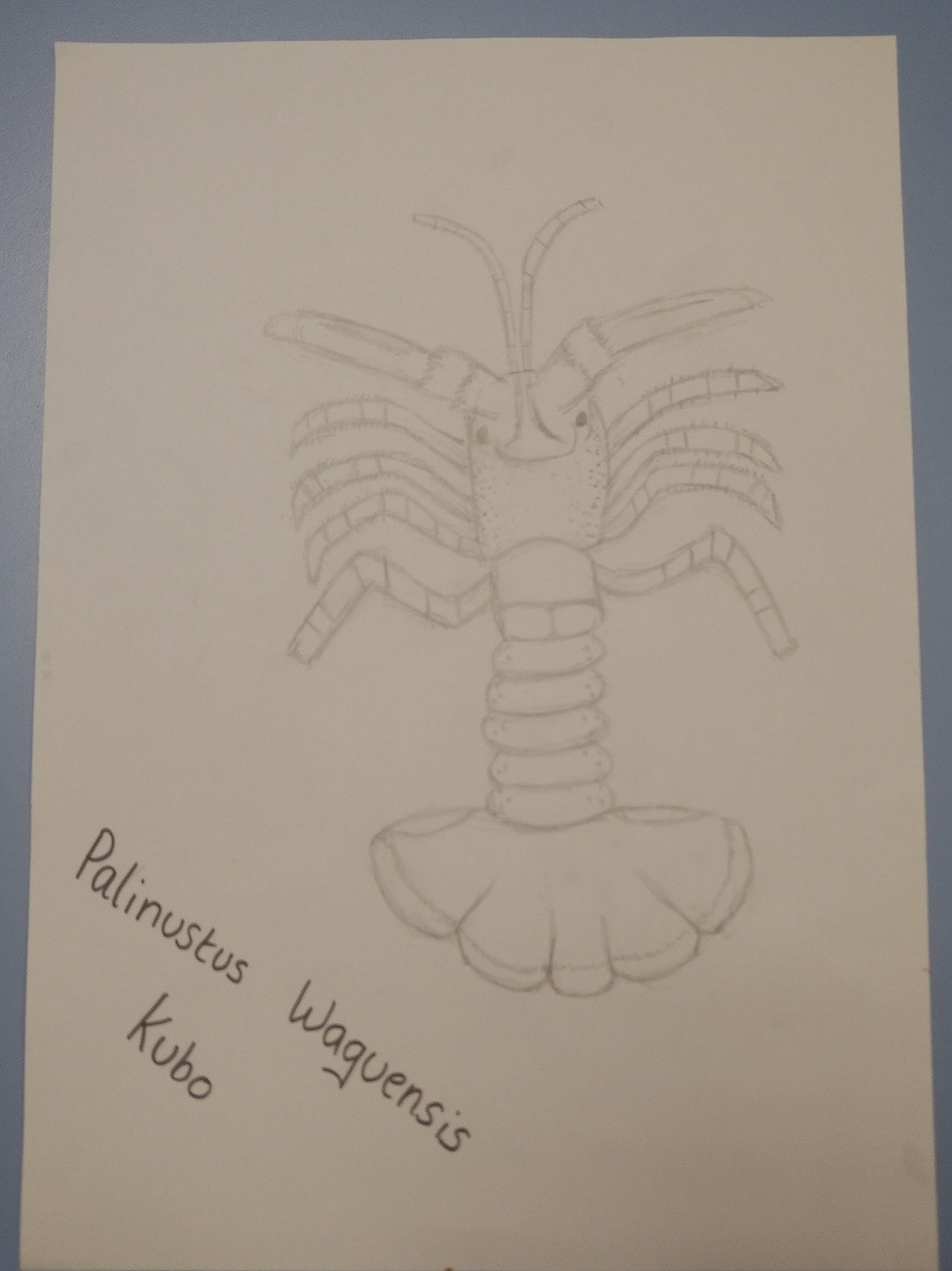 Crustacean listening - Norwich